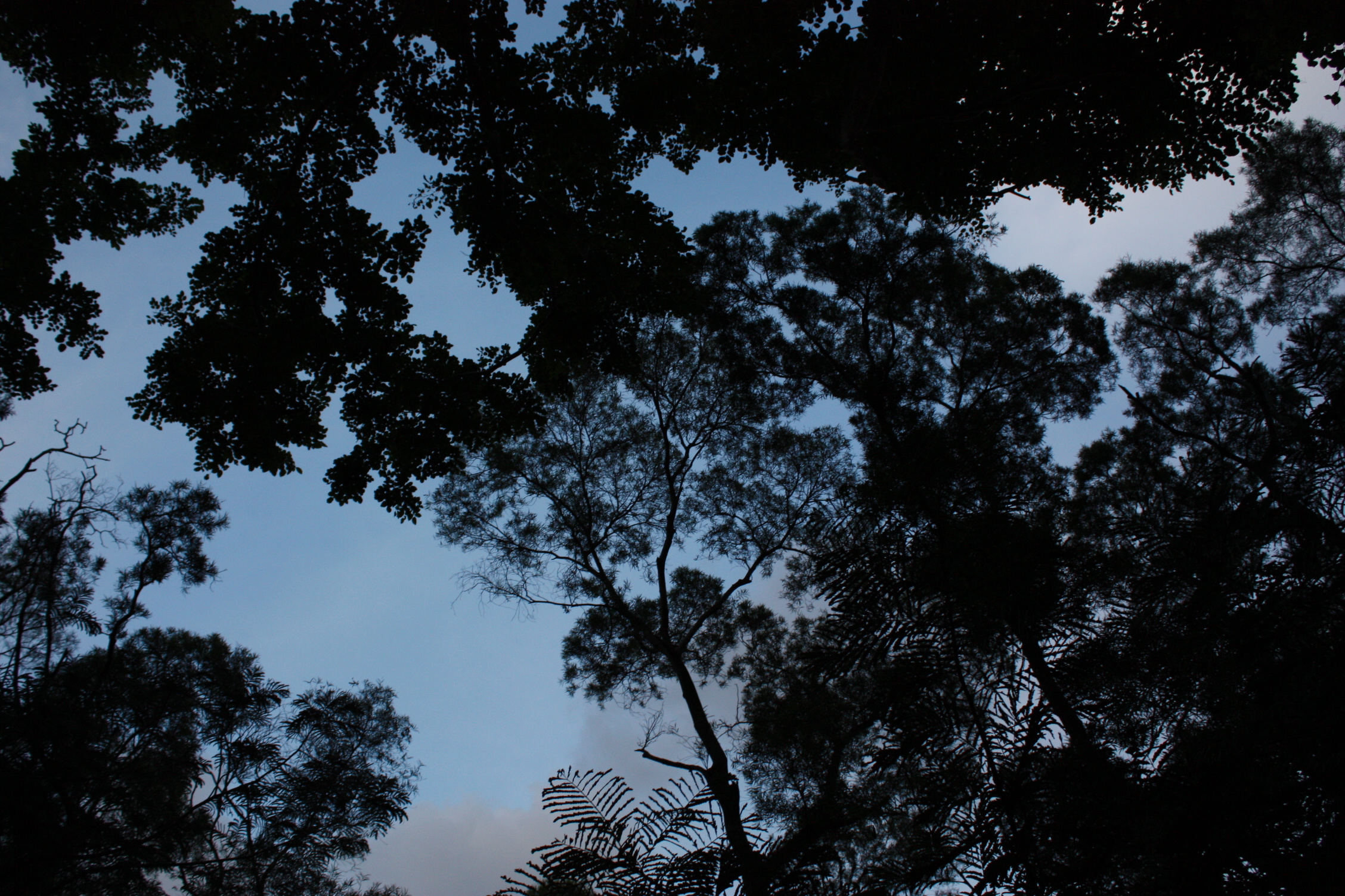 always look up ;p