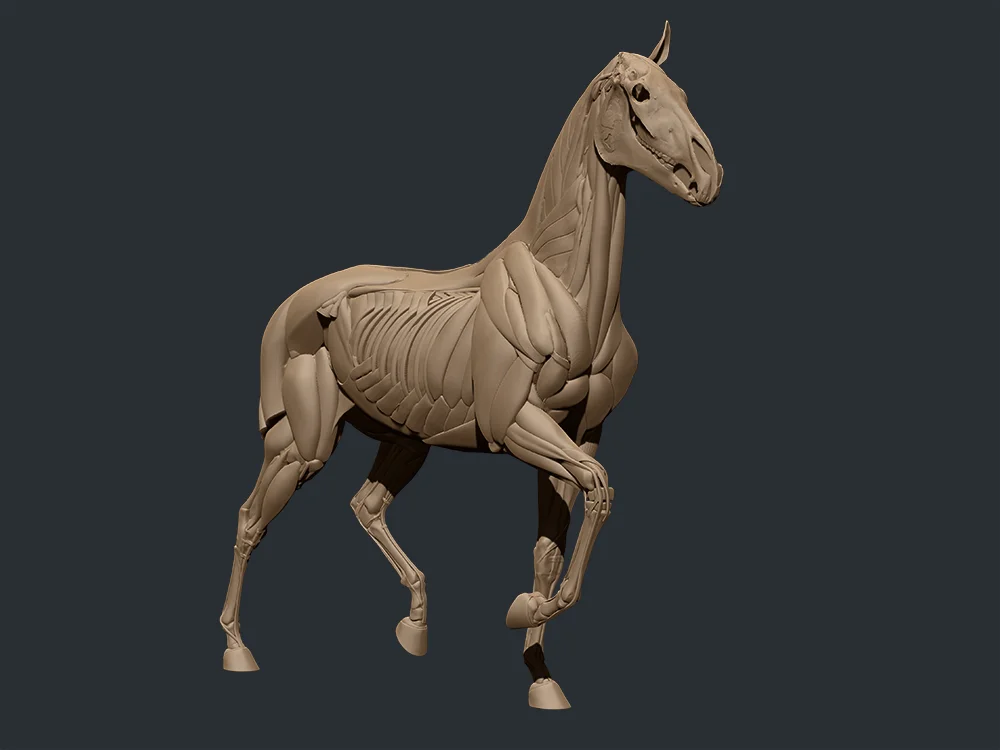 Horse_4.jpg