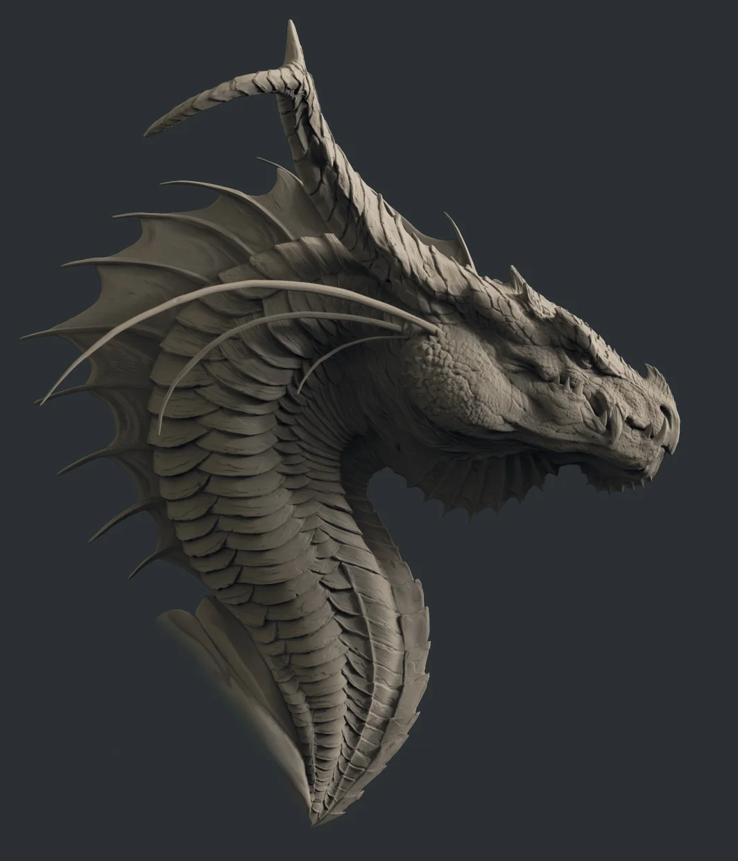 Dragon_Shot_02.jpg