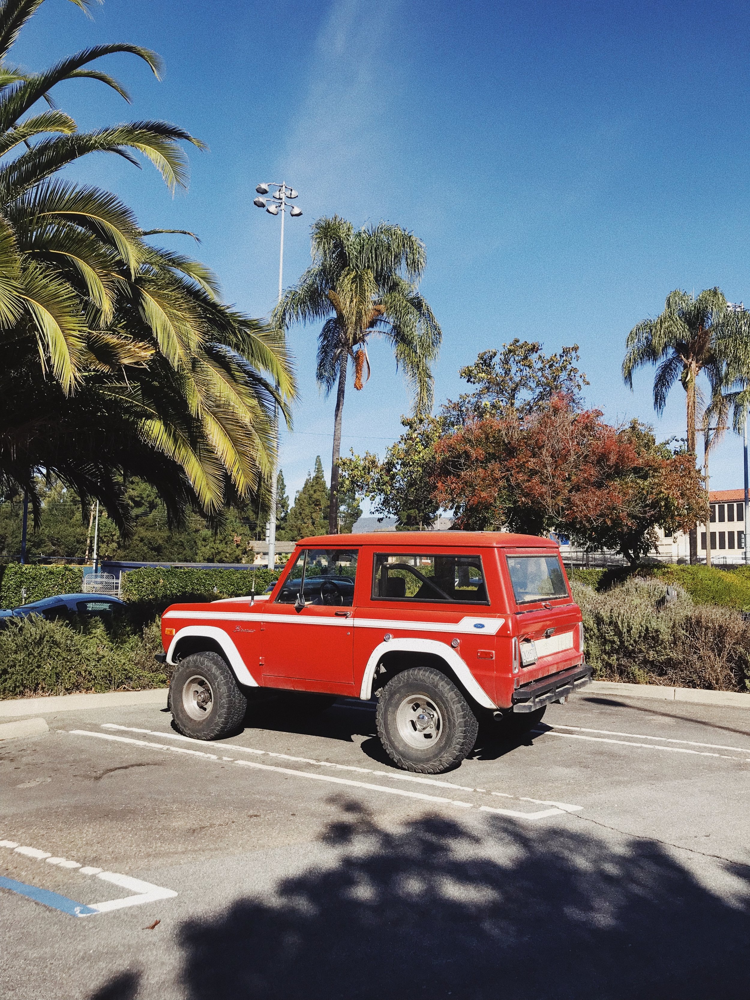 0C66B2E3-7A95-4A69-A64C-13CB84733EDF 2.JPG