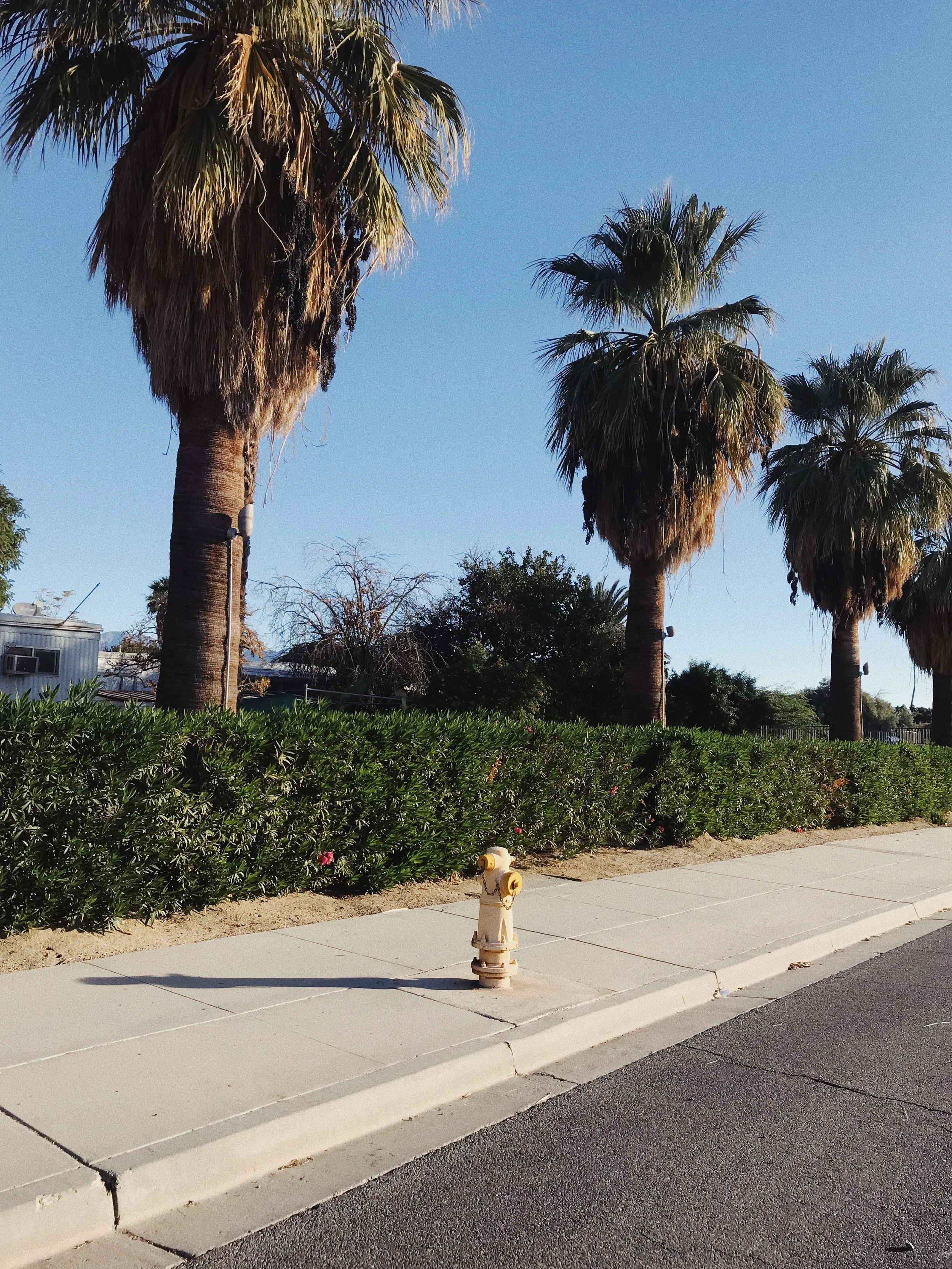 3155C614-9155-44FA-BCC8-9A40C231DC2A 2.JPG