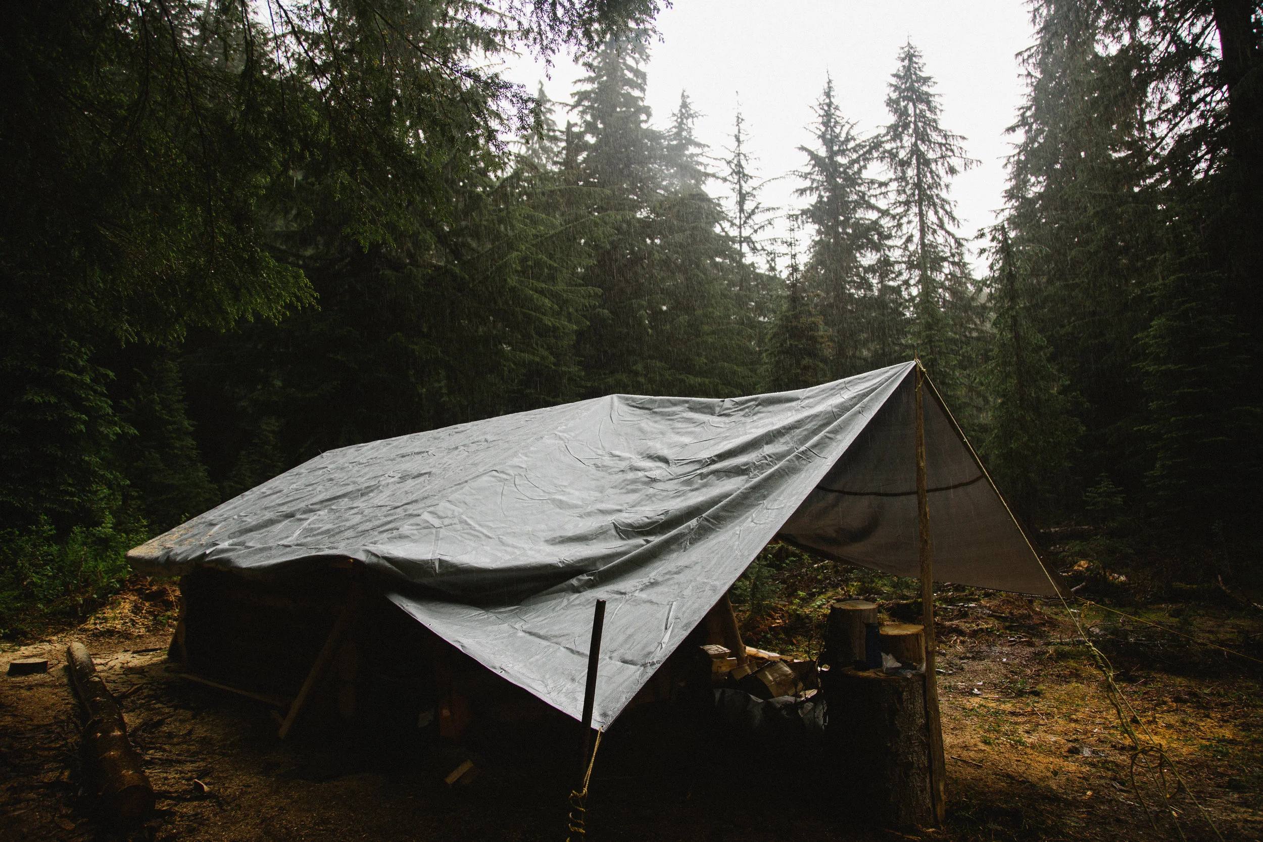 BA_2019-100.jpg