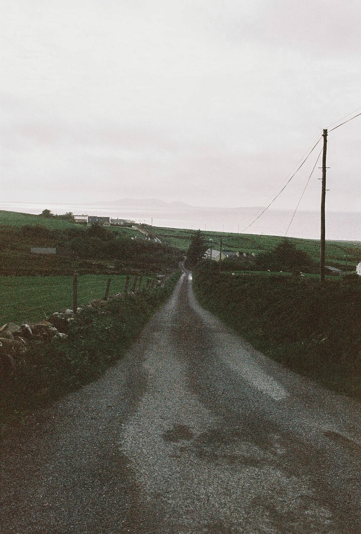 BA_2019-33.JPG