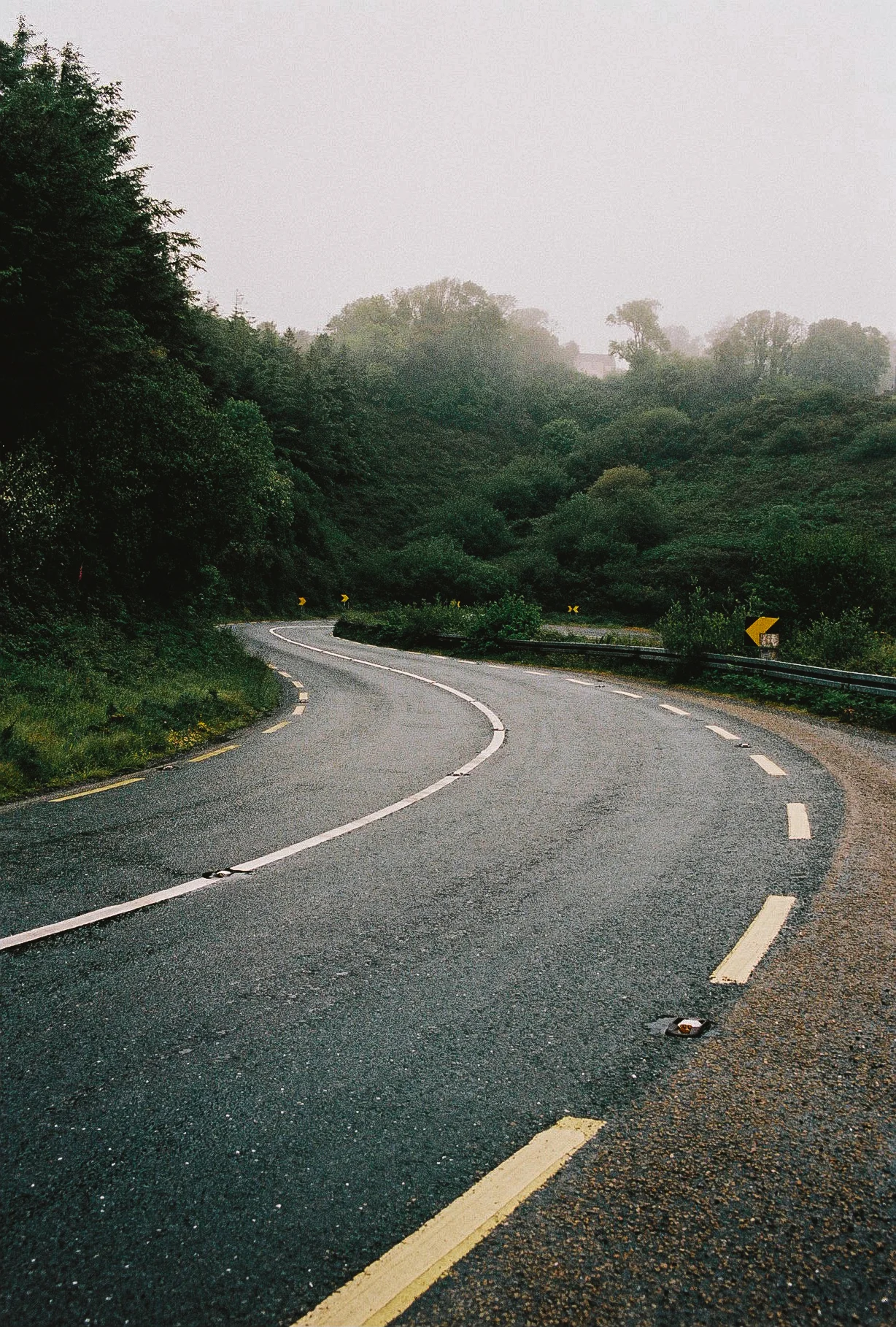 BA_2019-63.JPG