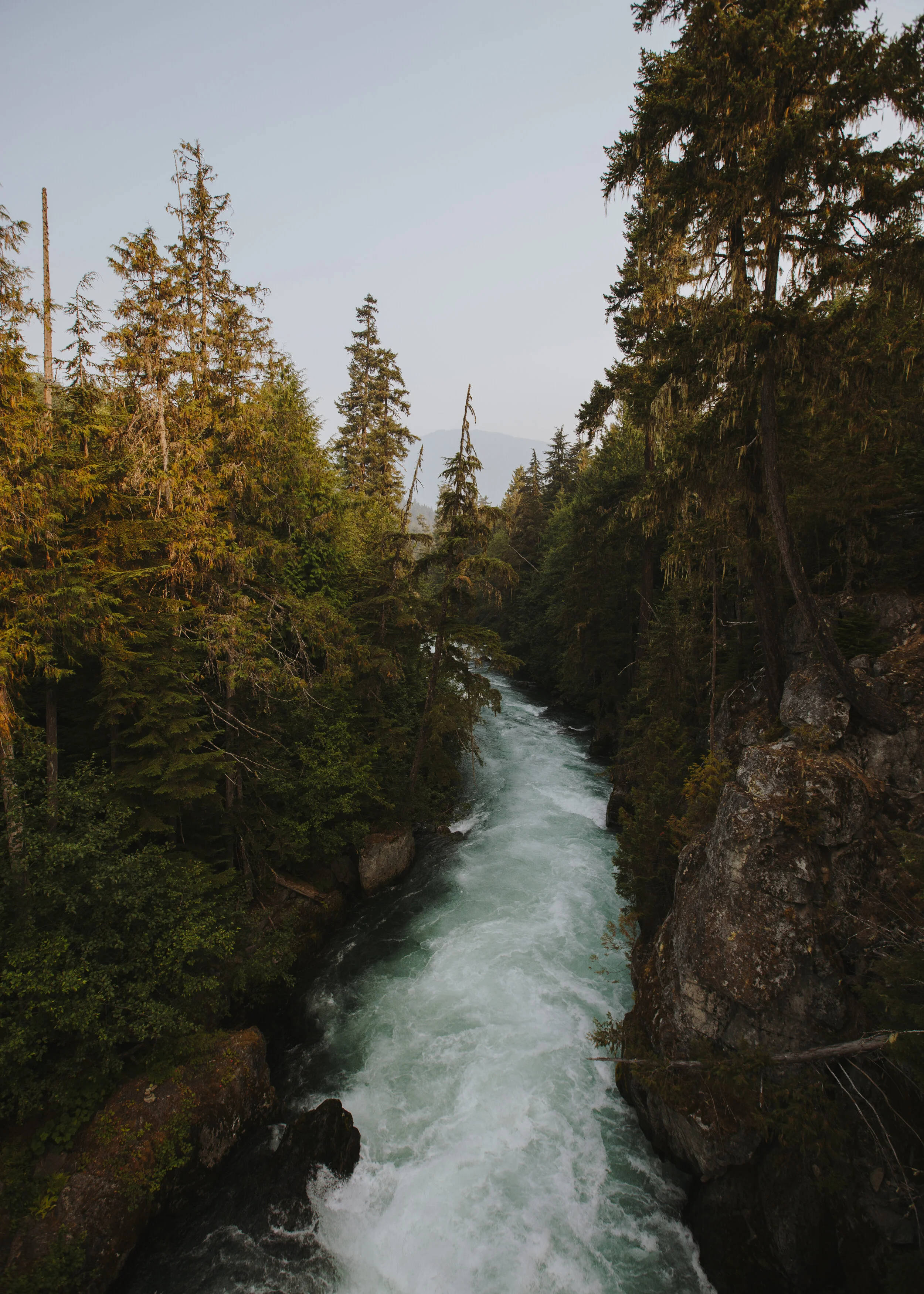 BA-BC_WHISTLER-S_2017-24.jpg