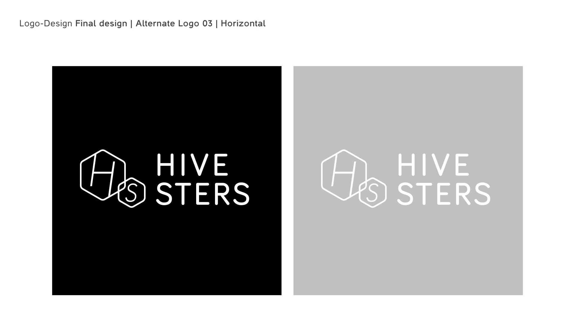 Hivesters_branding.032.jpeg