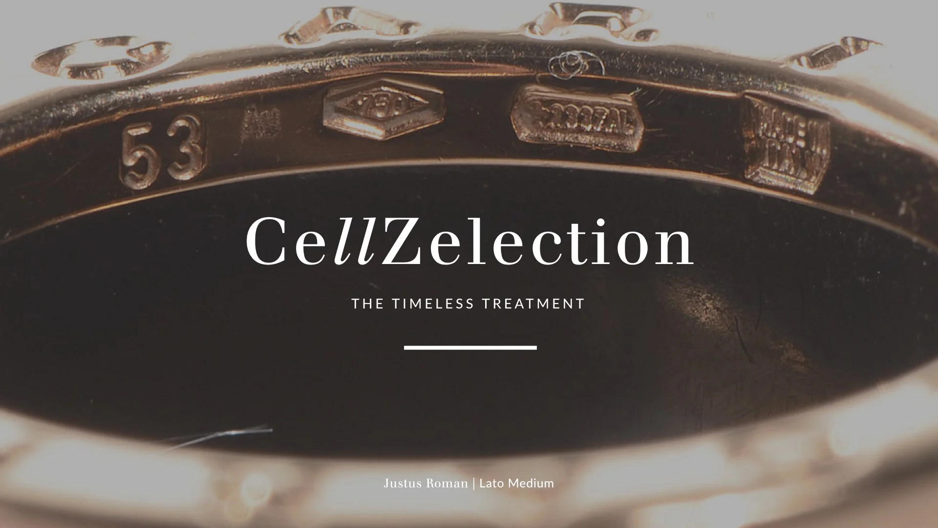 CellZellection.010.jpeg