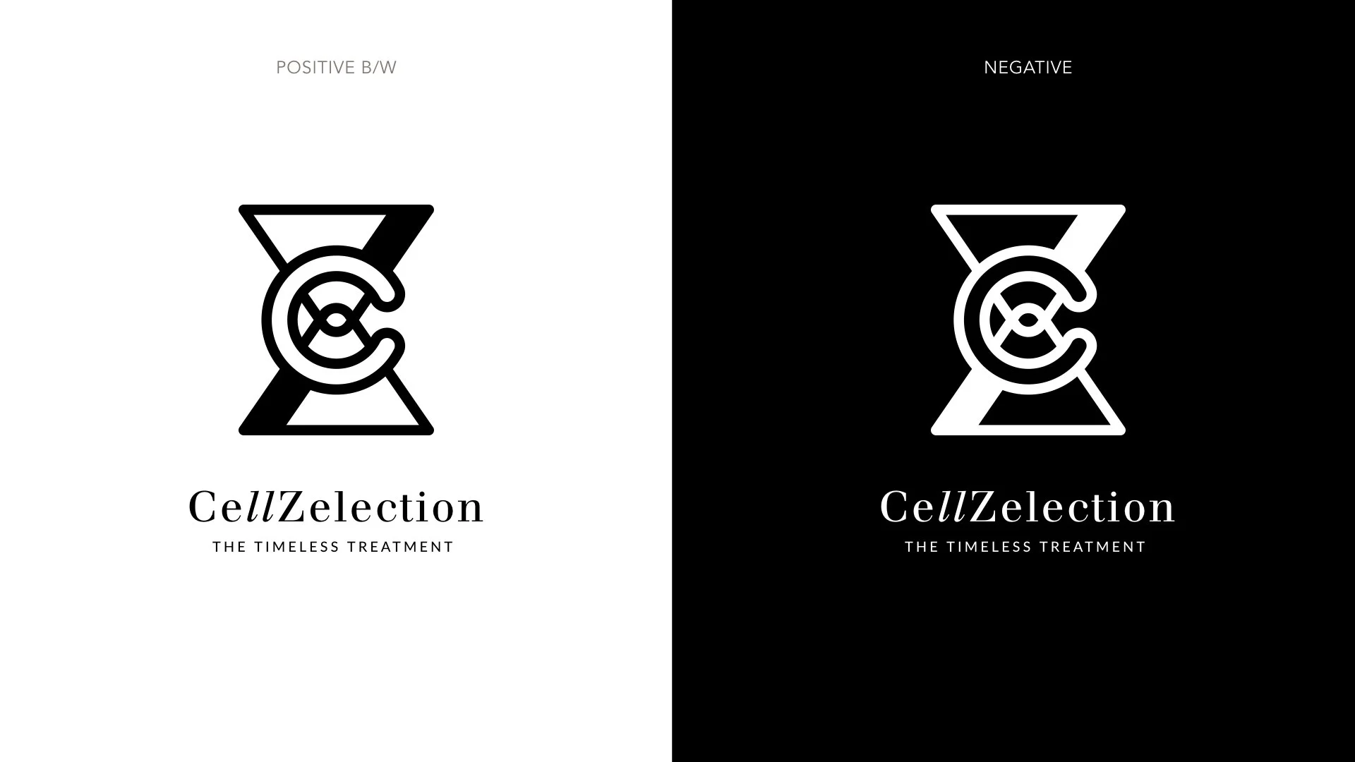CellZellection.020.jpeg