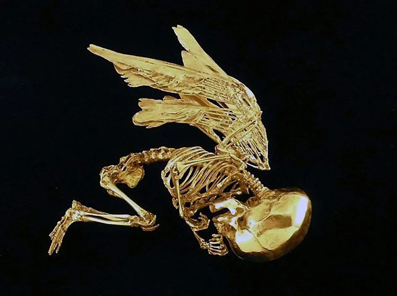 Damien Hirst "Cupid's Lie"