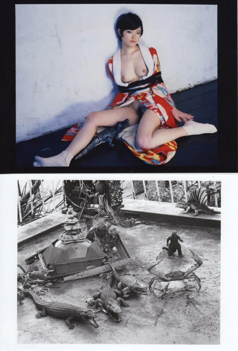 NOBUYOSHI_ARAKI_IT_WAS_ONCE_A_PARADISE_3