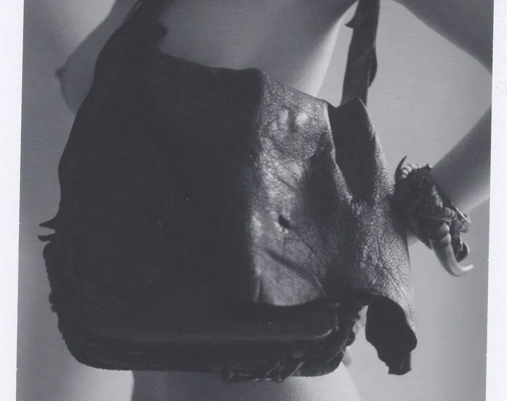 Silent_Wolf_aoi_kotsuhiroi