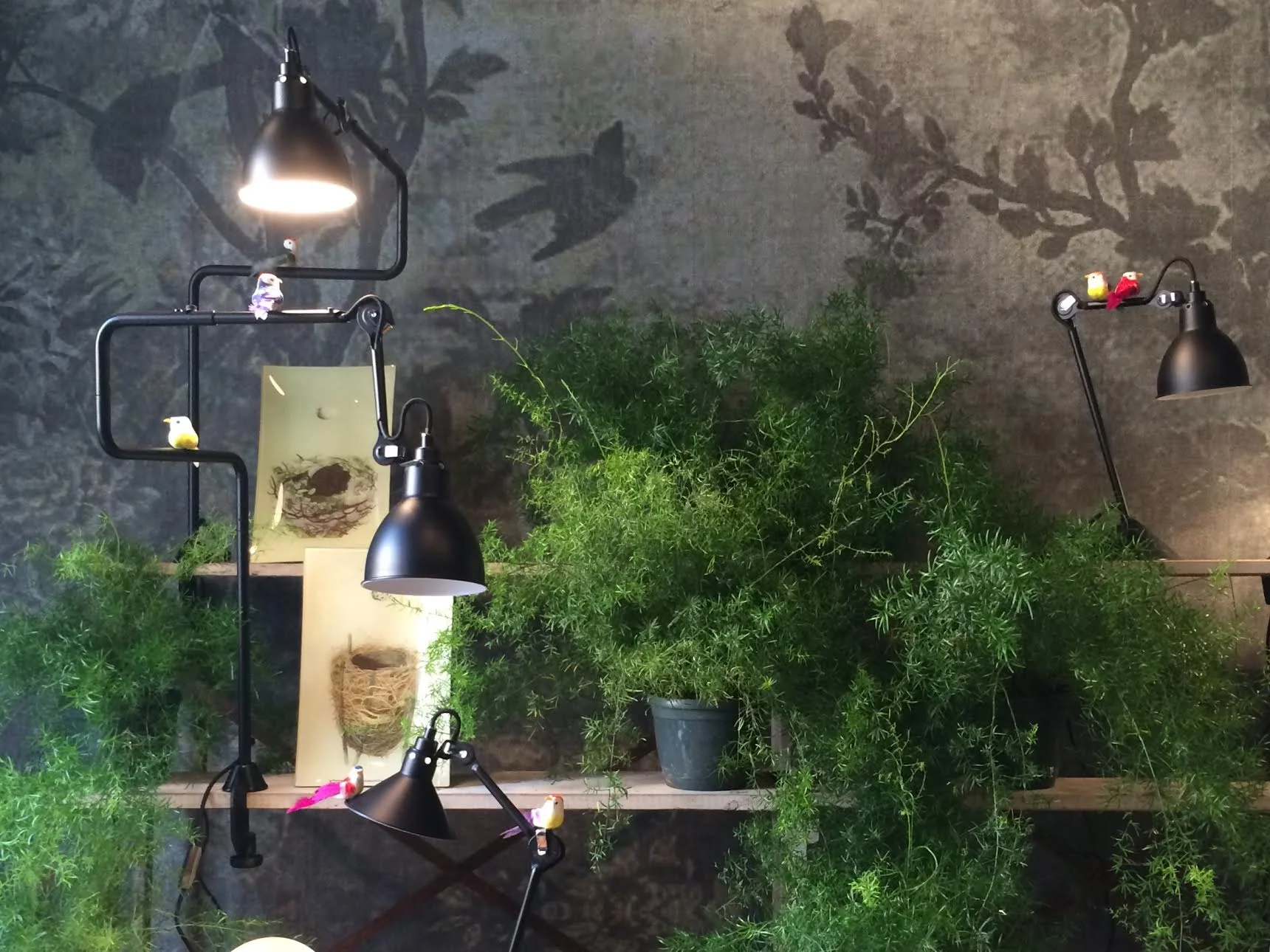 Lampe Gras, Wall&Decò wallpaper at RAW, via Palermo