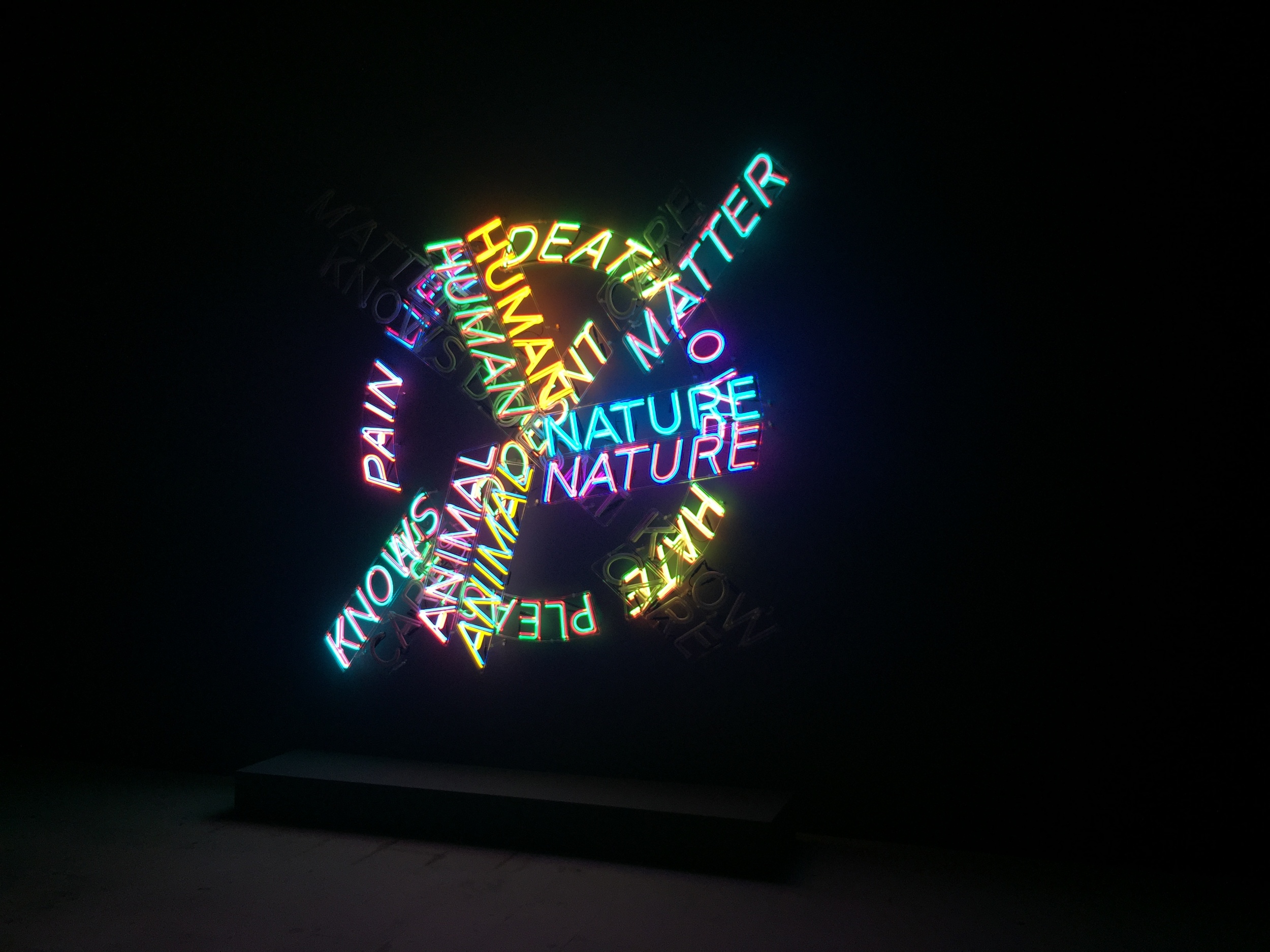 Bruce Nauman 