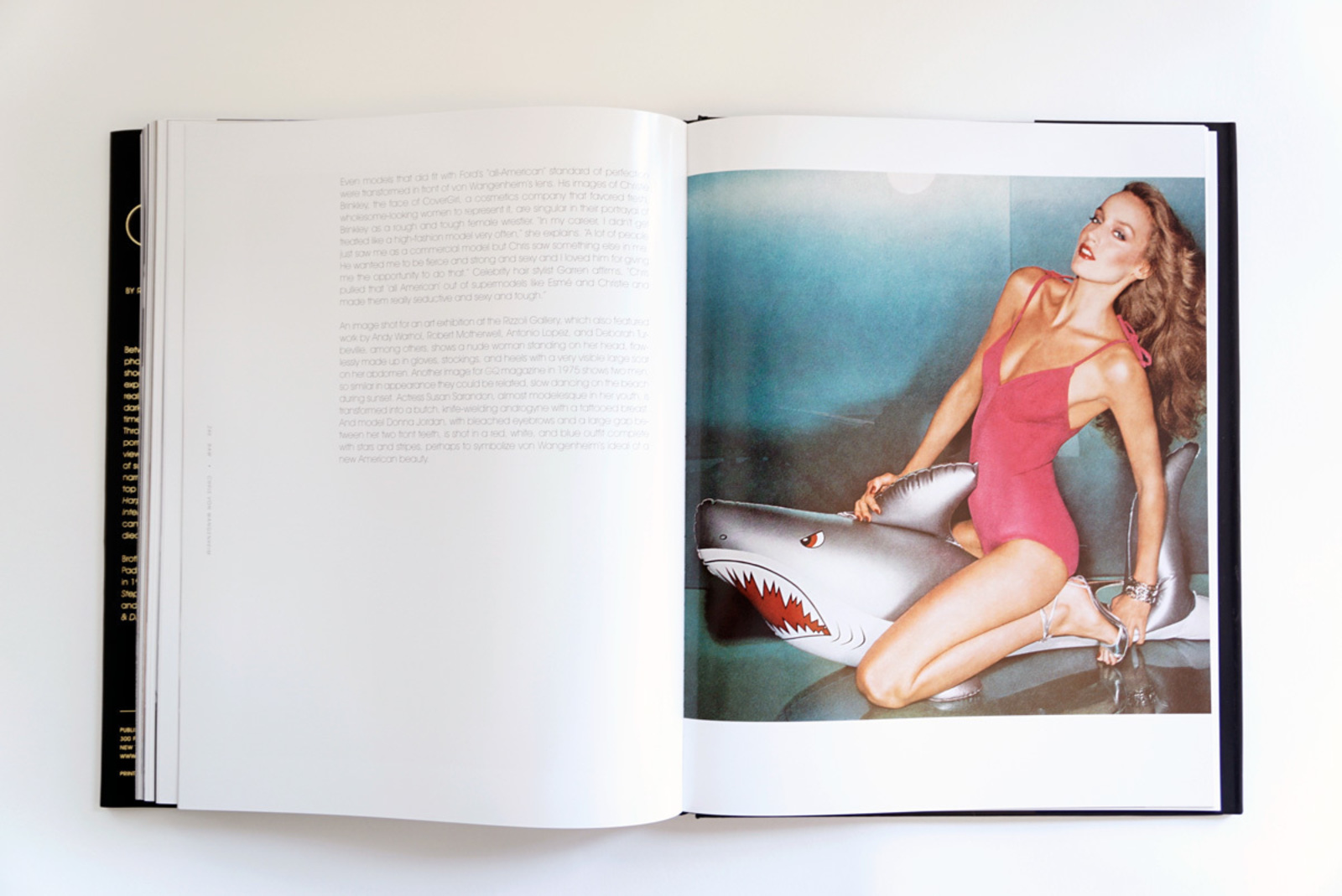 large_Rizzoli_Chris_von_Wangenheim_Gloss_Photo_04.jpg