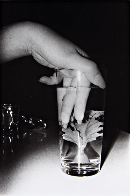 photograph by Nobuyoshi Araki