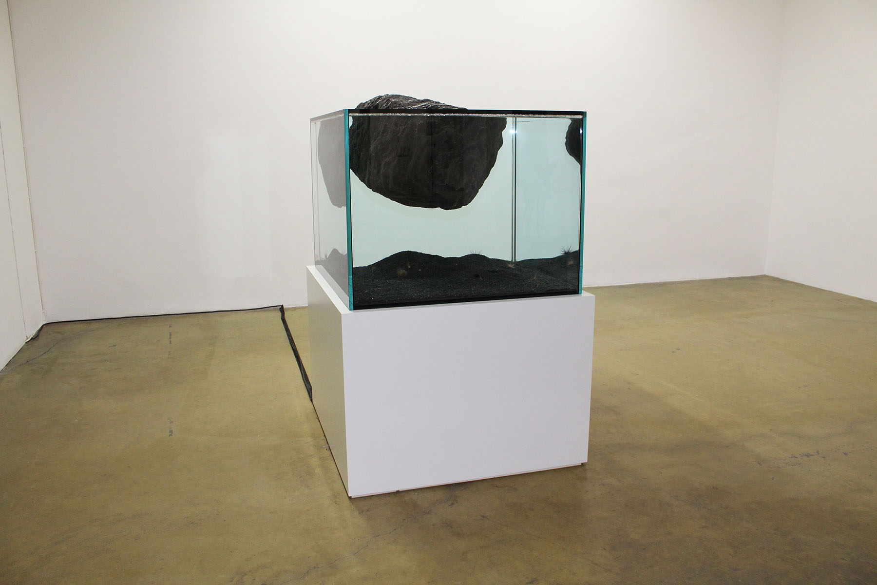 Pierre Huyghe.jpg