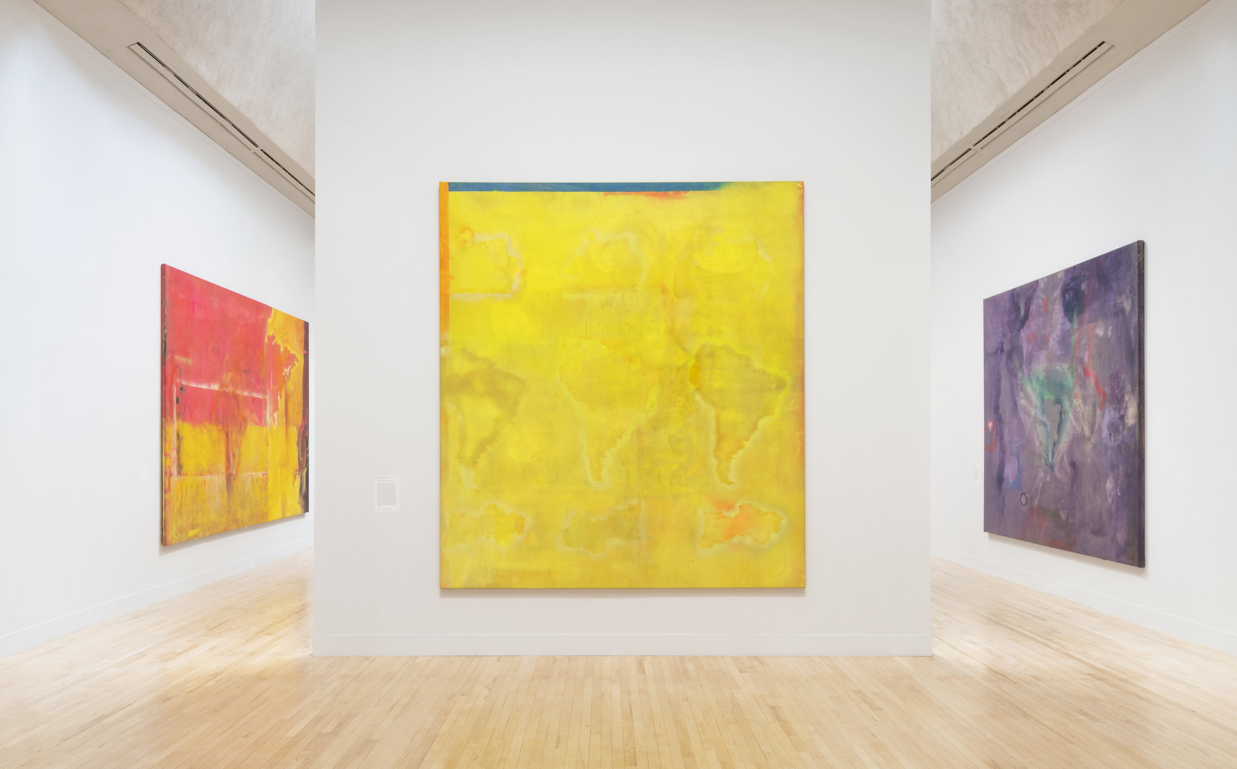  Installation View,  Frank Bowling  at Tate Britain (31 May - 26 August 2019). Tate Photography, Matt Greenwood 