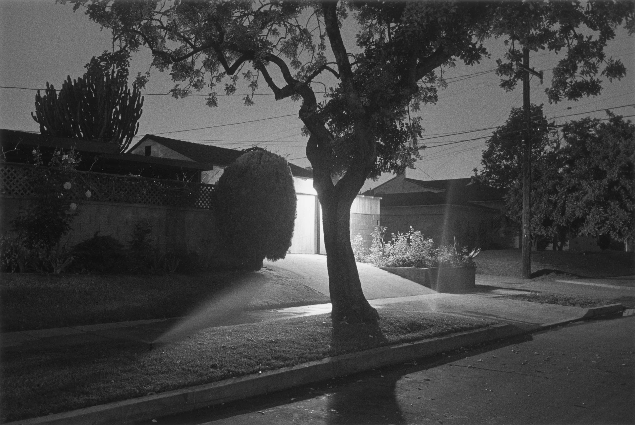 Night Walk No. 5, 1998, De la série Sunset Park © Henry Wessel; courtesy Pace/MacGill Gallery, New York
