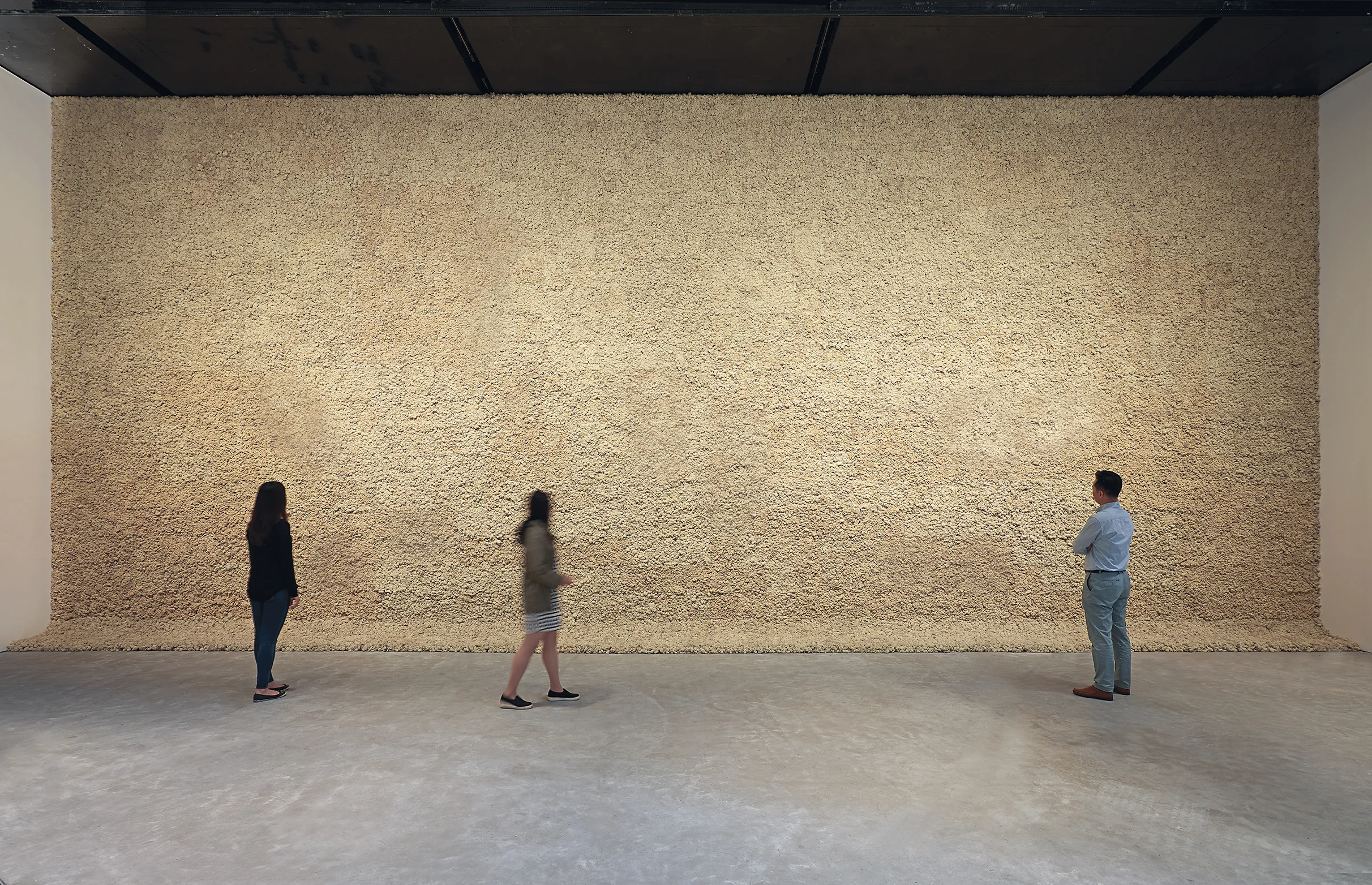 Olafur Eliasson (b.1967) Moss wall 1994 Reindeer moss, wood, wire Dimensions variable Installation view: Leeum, Samsung Museum of Art, Seoul, 2016 Photo: Hyunsoo Kim © 1994 Olafur Eliasson Courtesy of the artist; neugerriemschneider, Berlin; Tanya Bonakdar Gallery, New York / Los Angeles © 1994 Olafur Eliasson