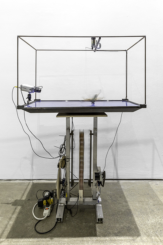  Jon Kessler  Breakdancer , 2018 Flatscreen, steel, aluminum, action figure, photographs, CCTV cameras, microprocessor, electronics and motors 22 x 41 x 58 in / 55.9 x 104.1 x 147.3 cm 