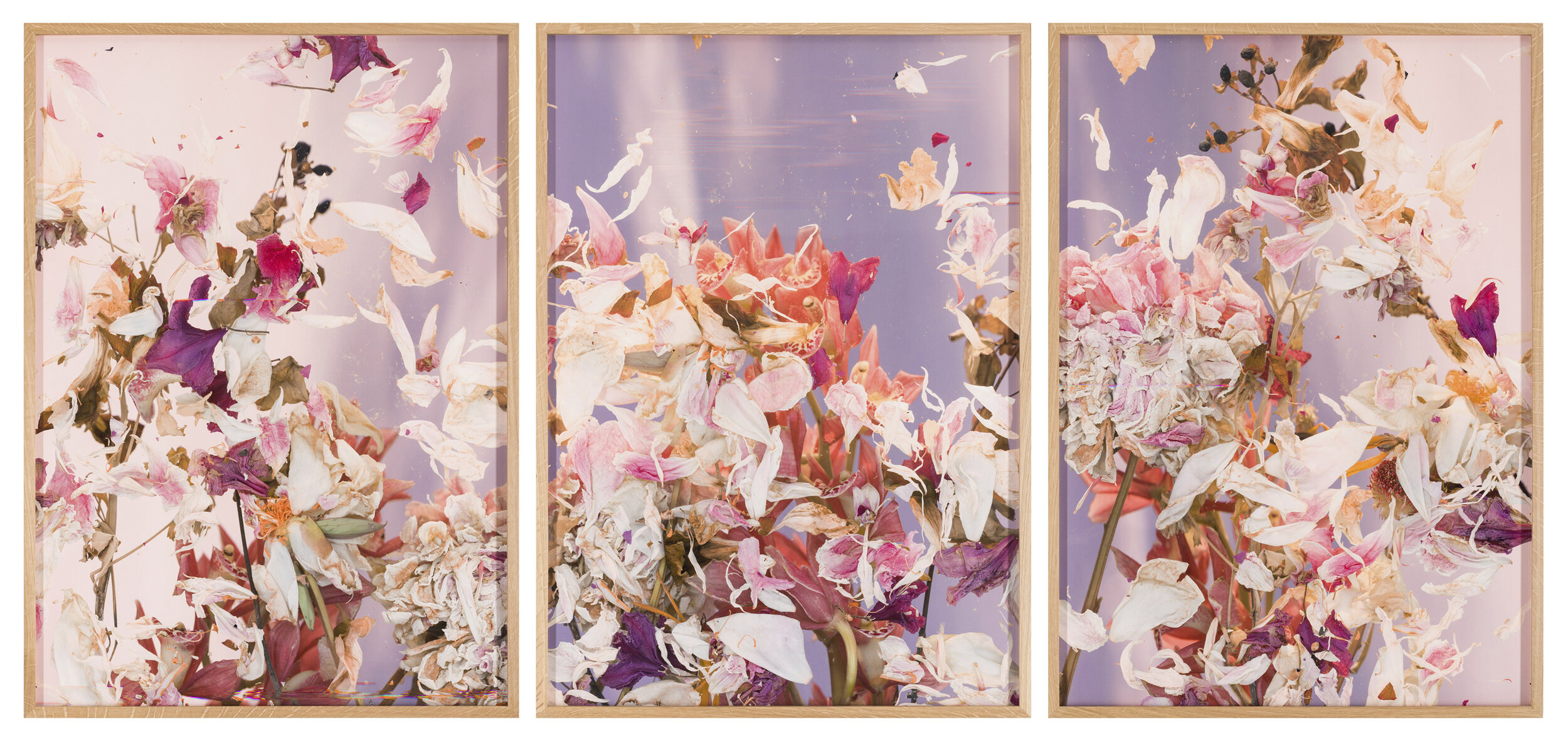  André Hemer  Sky scans (Peonies/Vienna June 4, 18:25-18:35 CST) , 2020  C-print on Fuji Flex with Oak frame  (TRIPTYCH) 26.7 x 18.9 in  (67.8 x 48 cm) Courtesy of the artist and Luis De Jesus Los Angeles 