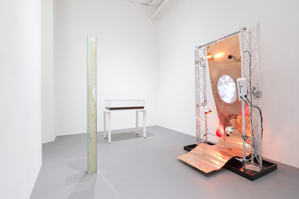  "I Contain Multitudes",  installation at Klaus von Nichtssagend Gallery,  2021 