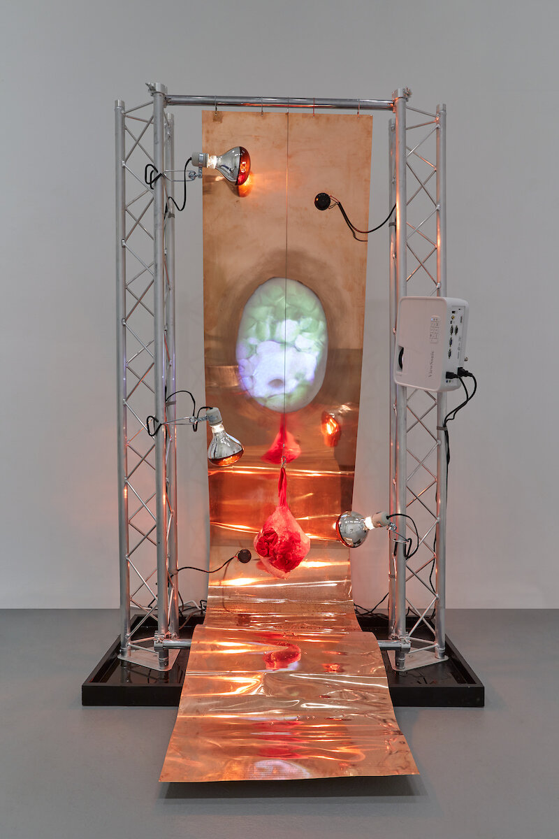   Jules Gimbrone  Trans As Indicator Species,  2021 Copper Sheet, Tactile Transducers, Amp, Sound of Artist’s Heartbeat, Metal Truss, Infrared Lights, Video Projector, Video of Microscopic Materials Ingested by Artist, Wooden Box, Ice-Encased T-Shirt