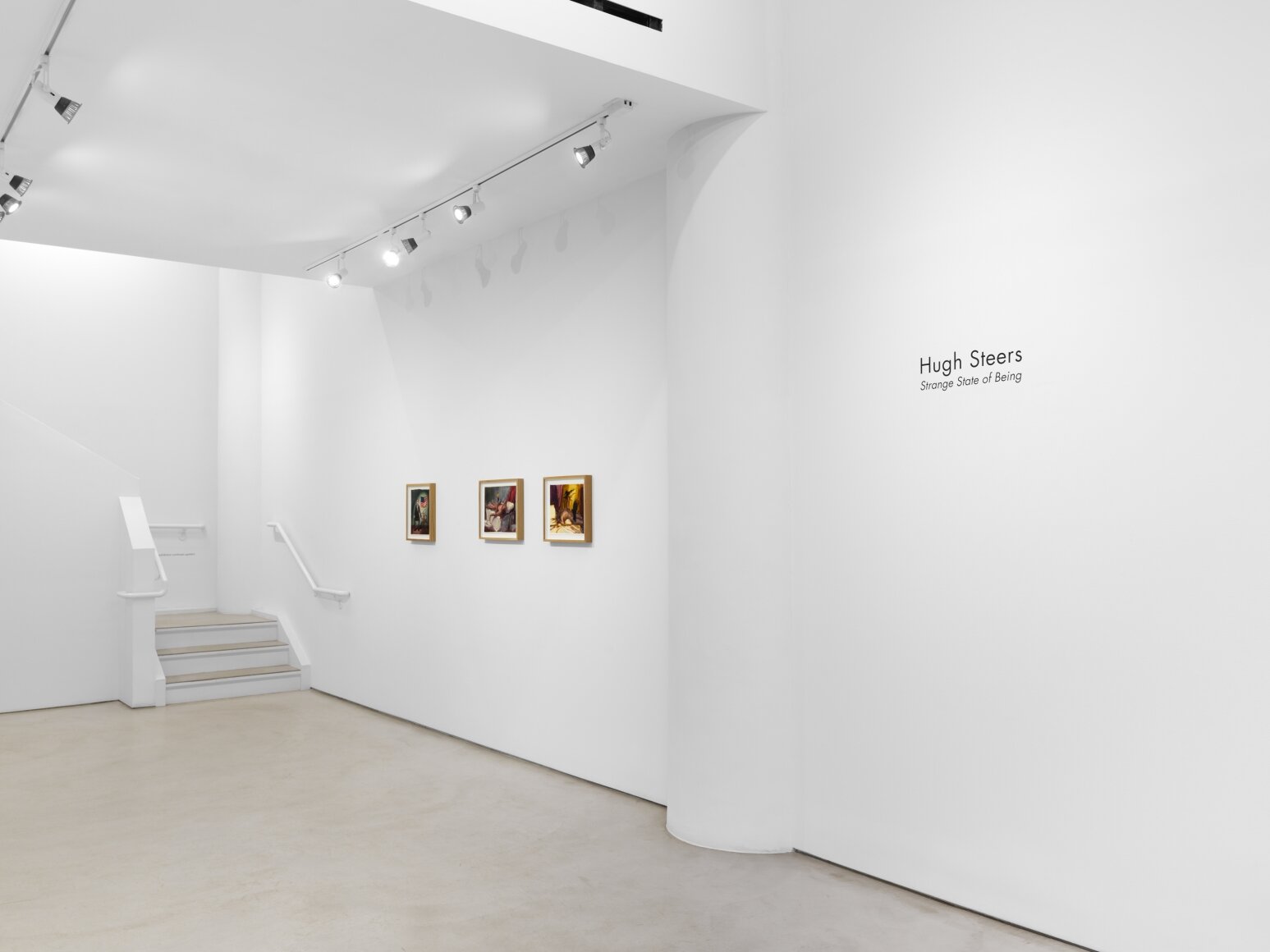  Hugh Steers:  Strange State of Being  Installation view Alexander Gray Associates, New York (2021) 