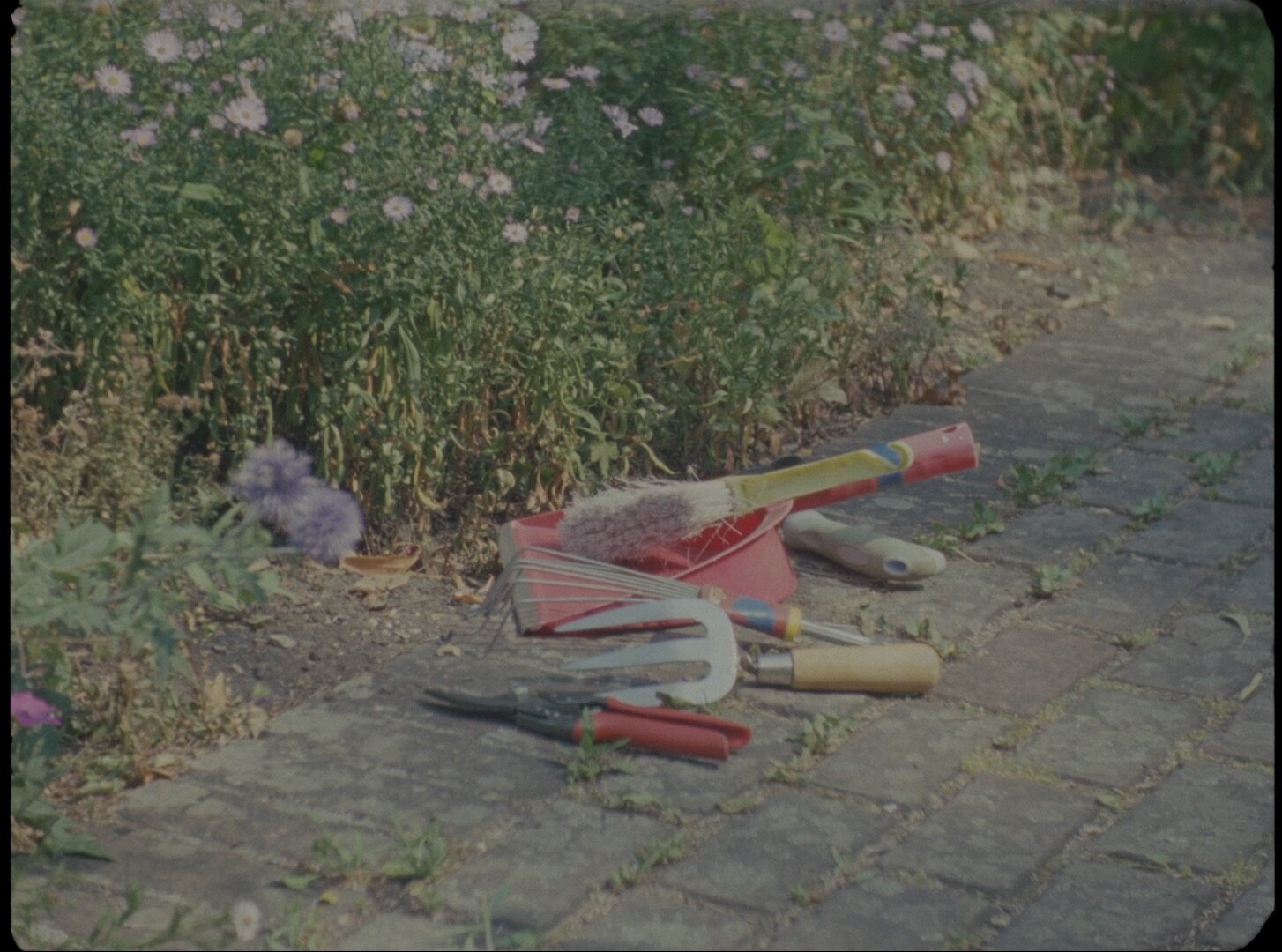  film still from  Hope Blooms  for Jo Malone 
