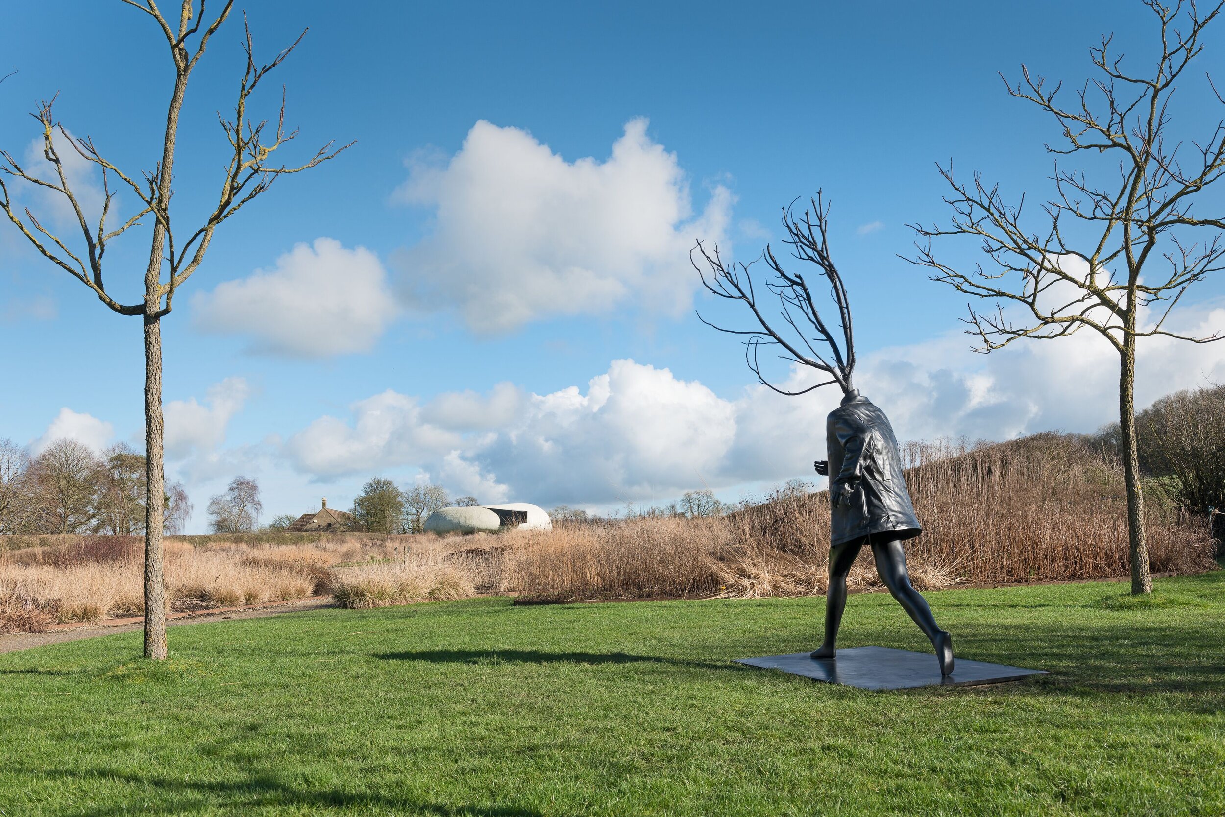  Installation view ‘Henry Taylor’ Hauser &amp; Wirth Somerset 2021 Photo: Ken Adlard Courtesy the artist and Hauser &amp; Wirth © Henry Taylor 