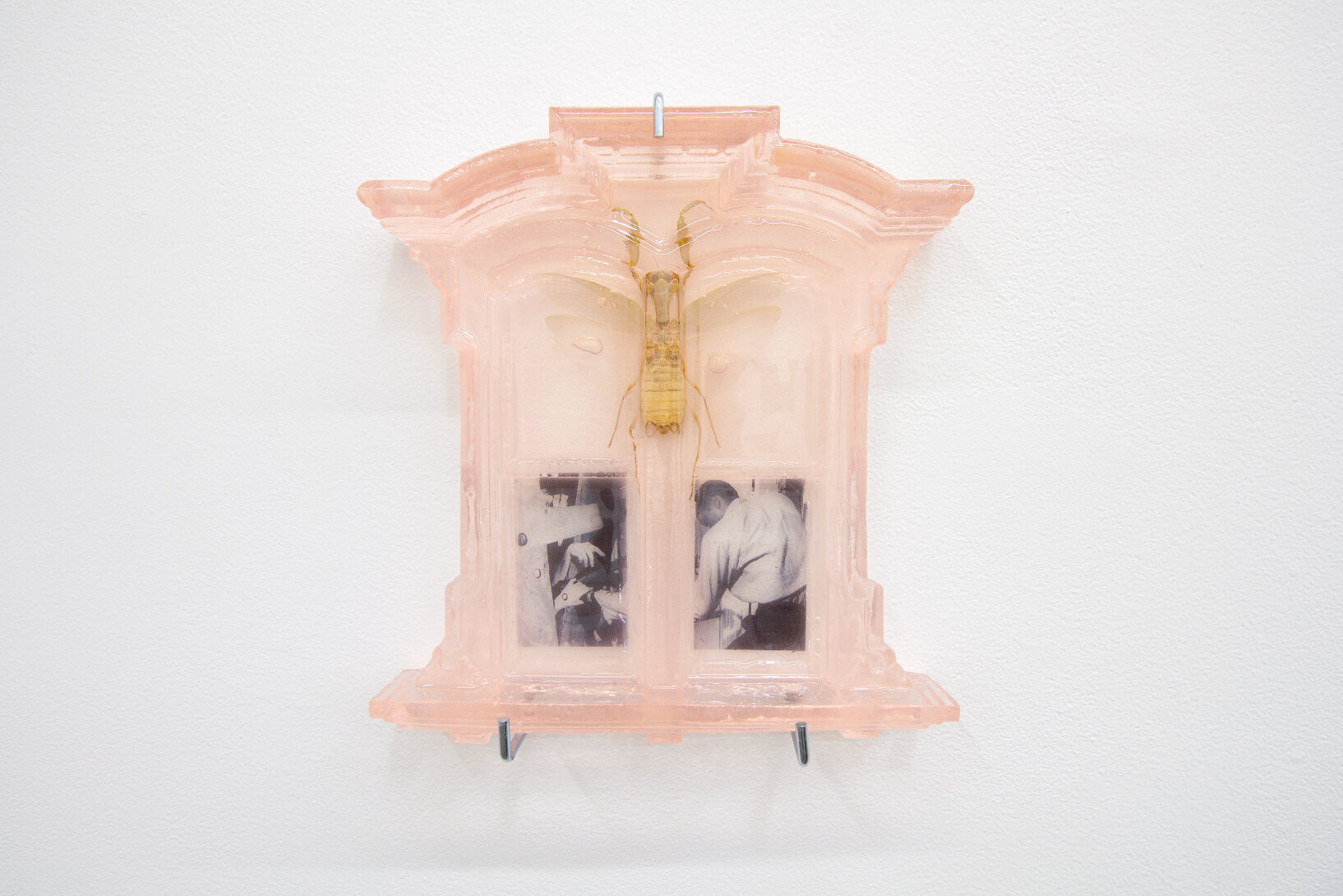  Sula Bermúdez-Silverman   Peephole 2 (Augusta) , 2021  Himalayan pink salt, epoxy resin, transparency film  9 x 8 x 1 in (22.9 x 20.3 x 2.5 cm)  