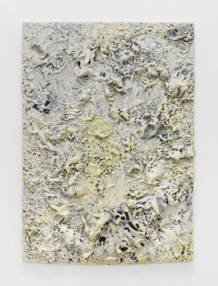  Tori Wrånes  Handmade Acoustics,  2018 Silicone, pigment, and textile on panel 80 x 57 x 5 in Courtesy of the Artist and Shulamit Nazarian 