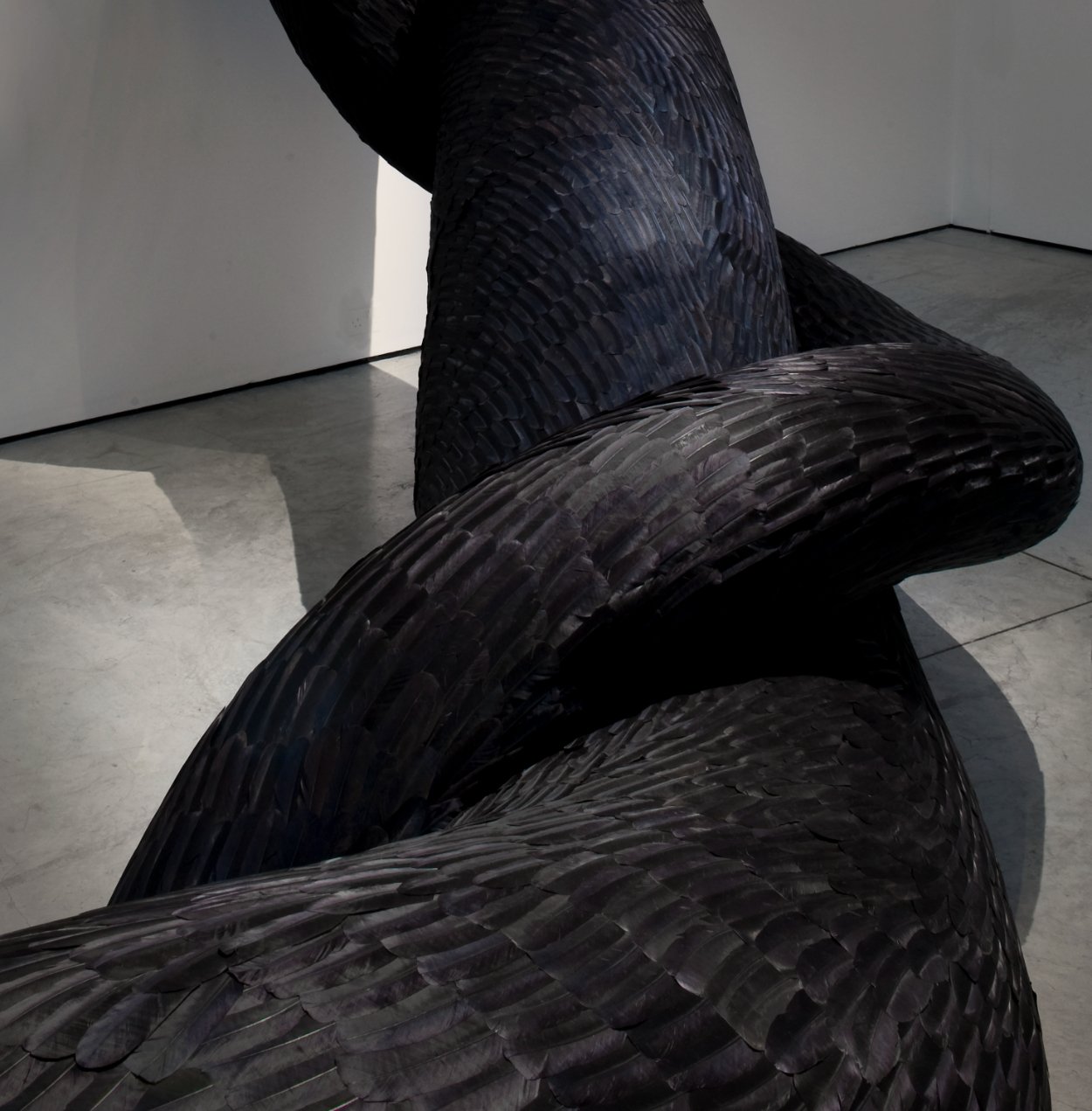  Kate MccGwire  GYRE  (detail), 2012 Installation multimédia avec des plumes de corbeau 275 x 770 x 415 cm 