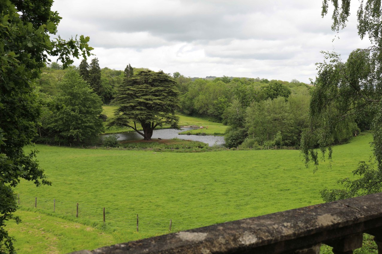 CH Estate Lake.jpg