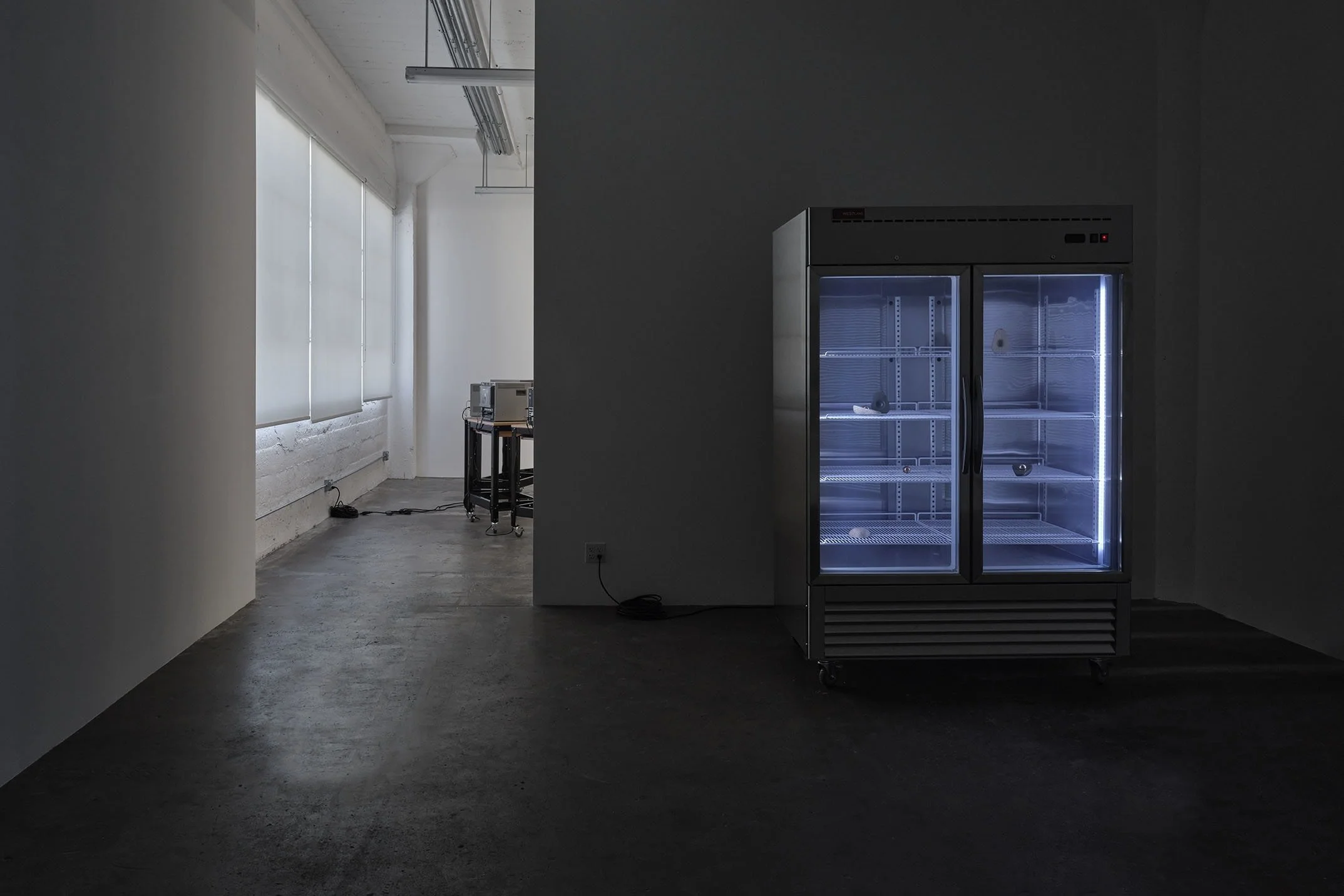 "Terms of Belonging" Group Exhibition On View Now At Gavlak Gallery 