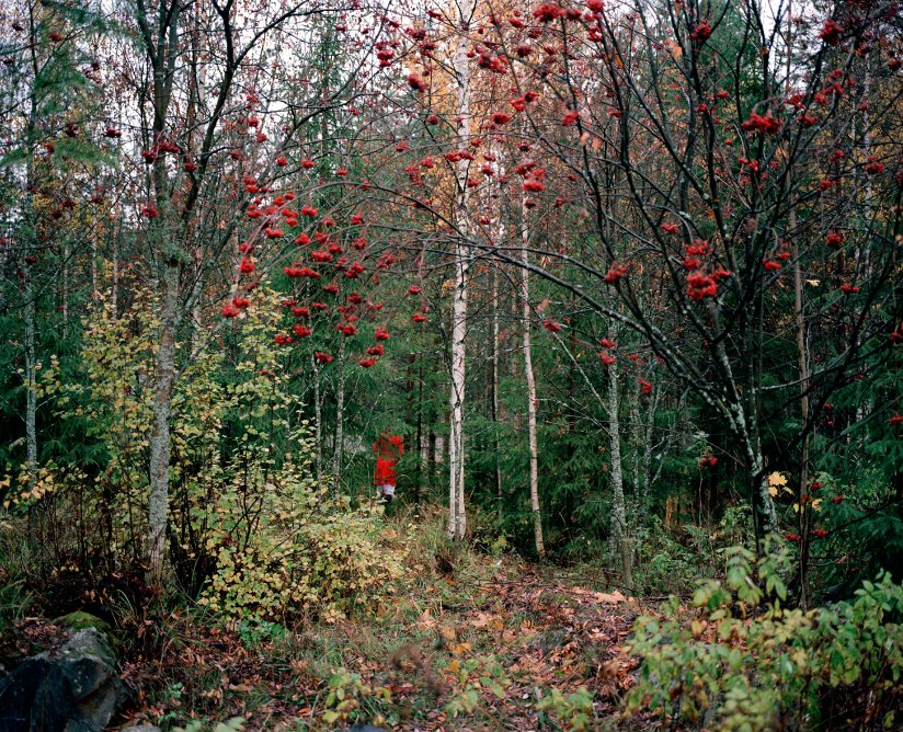     Anni Leppälä  Autumn  (2007) C-print mounted on aluminum 62 x 80 cm © the artist, courtesy: Persons Projects 