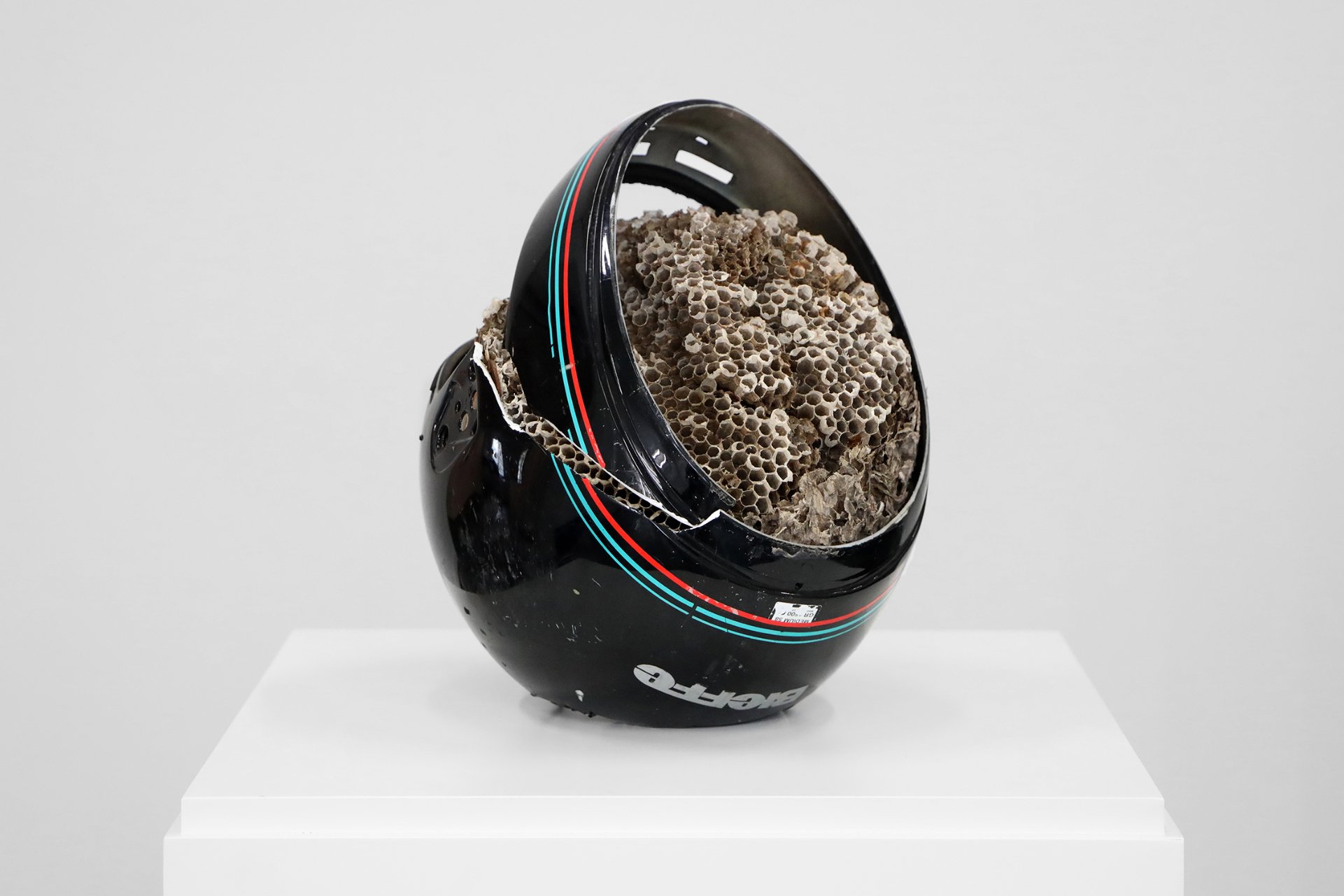  Nicolás Lamas  Network collapse  (2019) Motorcycle helmet and wasp nest  Courtesy of Meessen De Clercq  Copyright of the artist Photo: Josépha Blanchet  