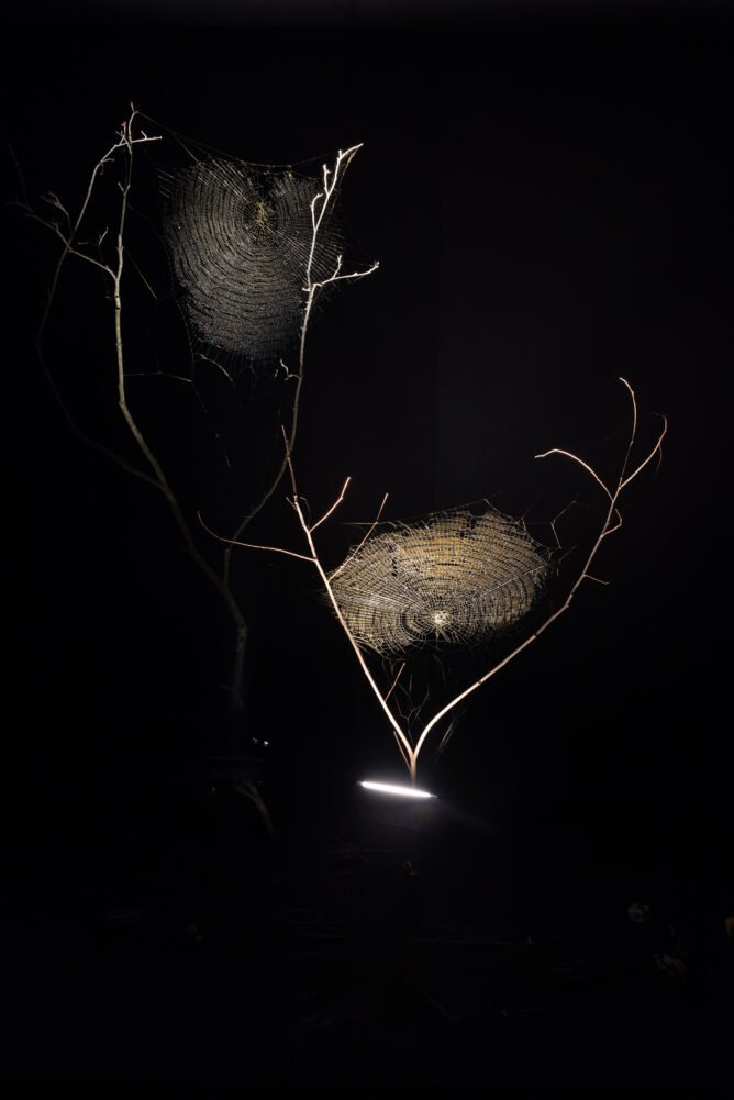  Tomás Saraceno  World(ing)WideWeb(s).Life, 2023  Spider silk, lights, tree branches, spider frames, glass Courtesy of the Spider Webs…with Tomas Saraceno 