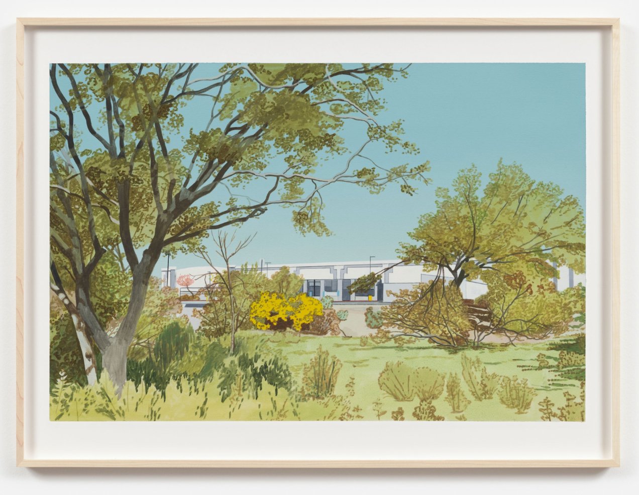  Jake Longstreth   Springtime at the Scottsdale, Arizona Walmart #2  (2023) oil on Arches oil paper 48.3 x 71.1 cm.; 19 x 28 in. 59.4 x 79.8 x 3.5 cm.; 23 3/8 x 31 3/8 x 1 3/8 in. (framed) 