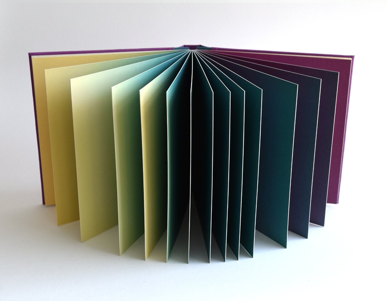   Nicholas Shick   Radiate  (2019-2023) Letterpress on Mohawk superfine, drum leaf binding with hard covers, edition of 3. Volumes 1 - 8.&nbsp; 