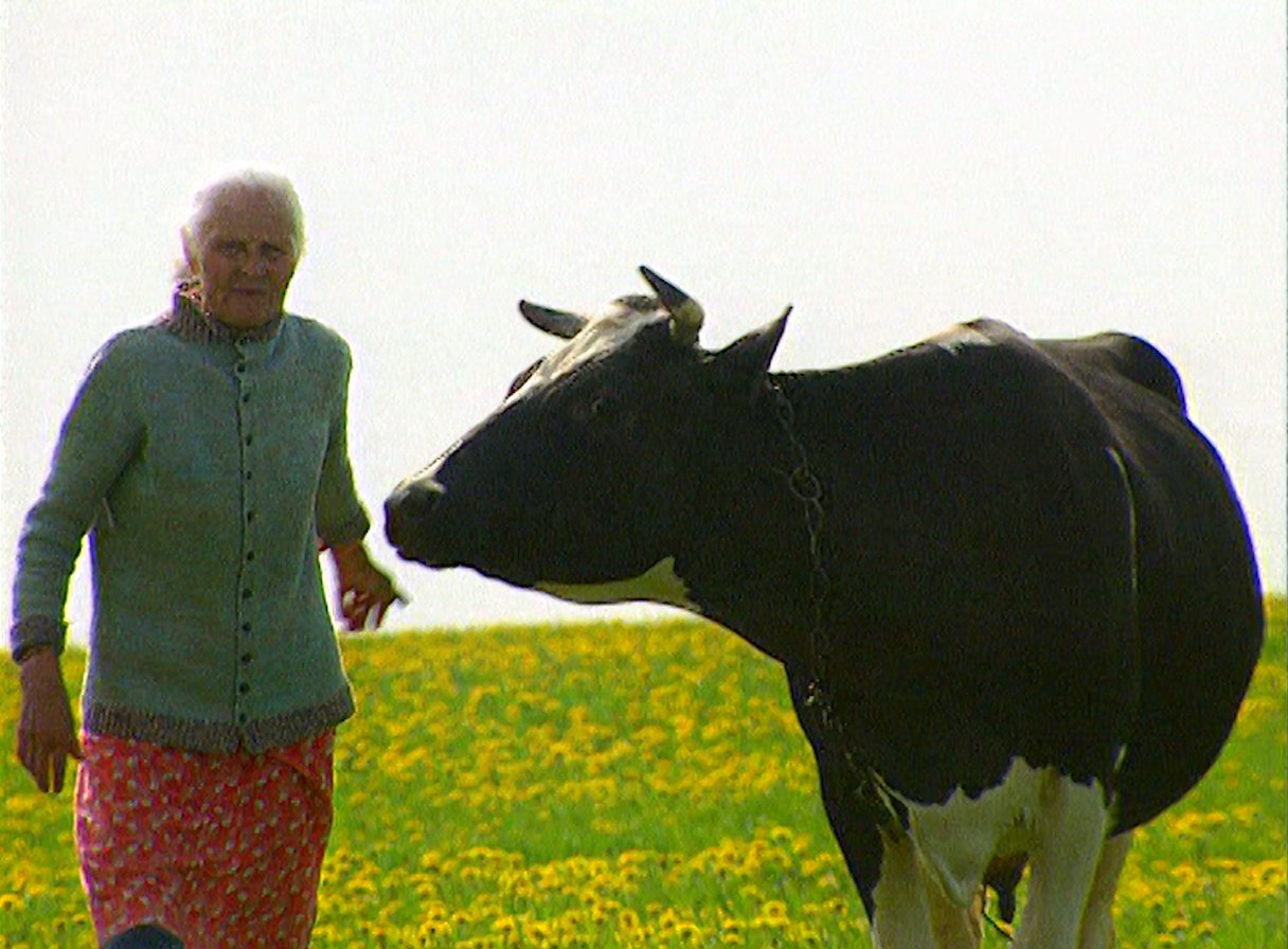  Stills from  Russia 1985-1999: TraumaZone.  (Courtesy of BBC and Adam Curtis.) 