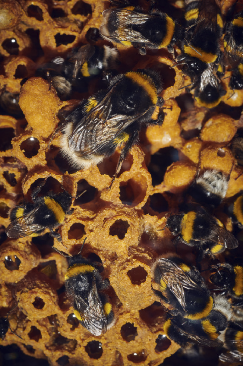 Screenshot 2024-07-01 at 10.59.42 AM.png