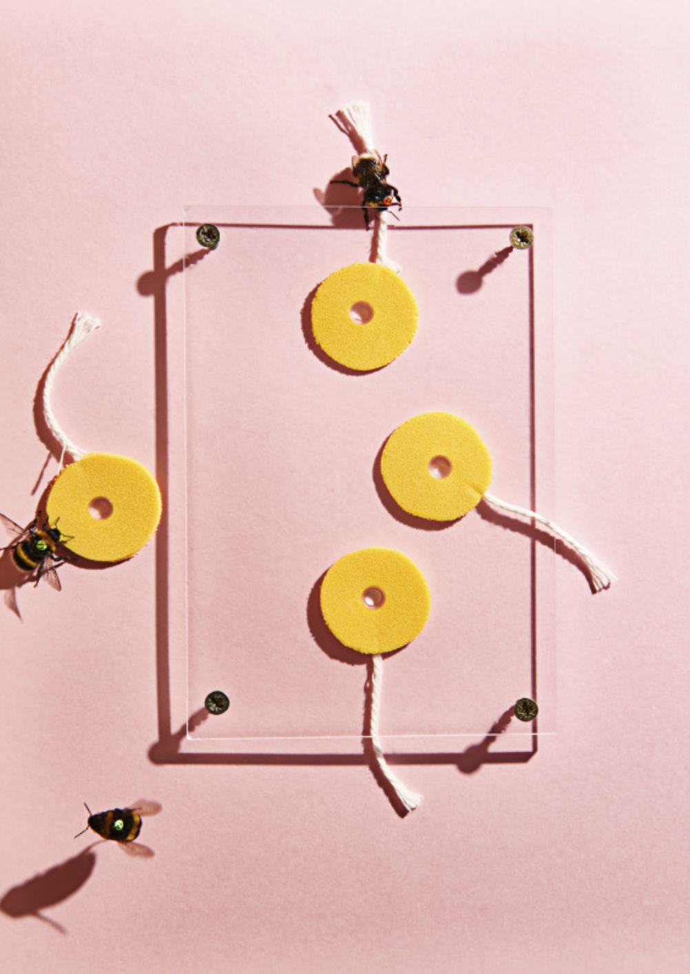 Screenshot 2024-07-01 at 11.00.23 AM.png