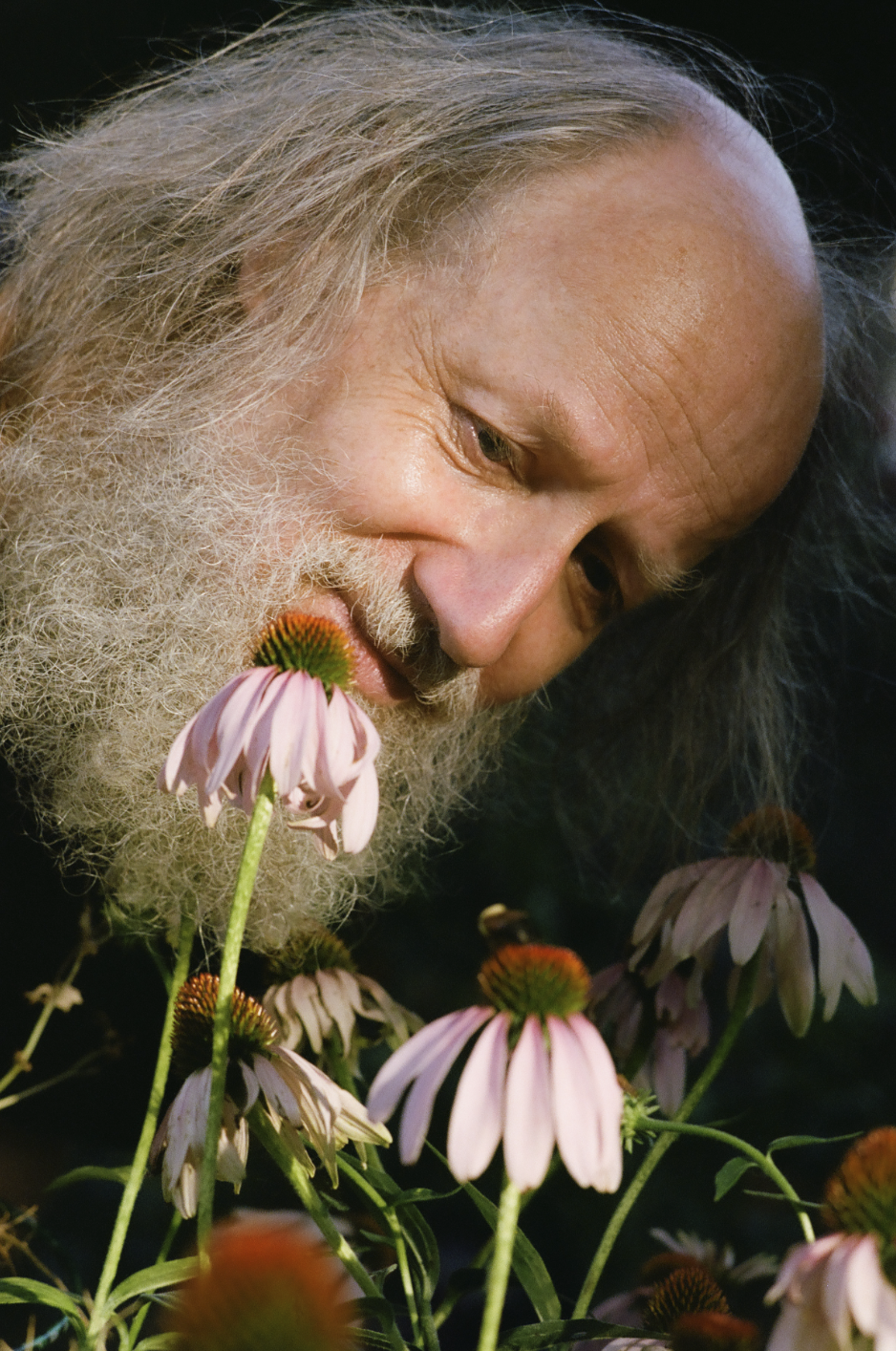 Spirit Of The Beehive: An Interview of Ecologist and Zoologist Lars Chittka On The Emotional Intelligence of Bees &nbsp;