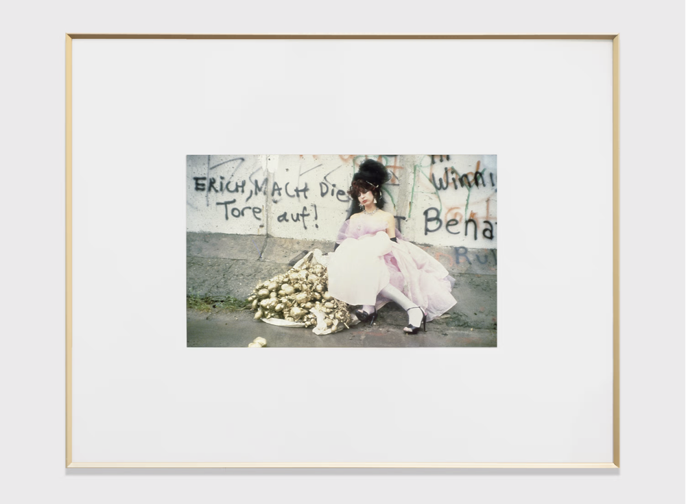 Dear Mine 貫い PICASSO white skin 2014限定