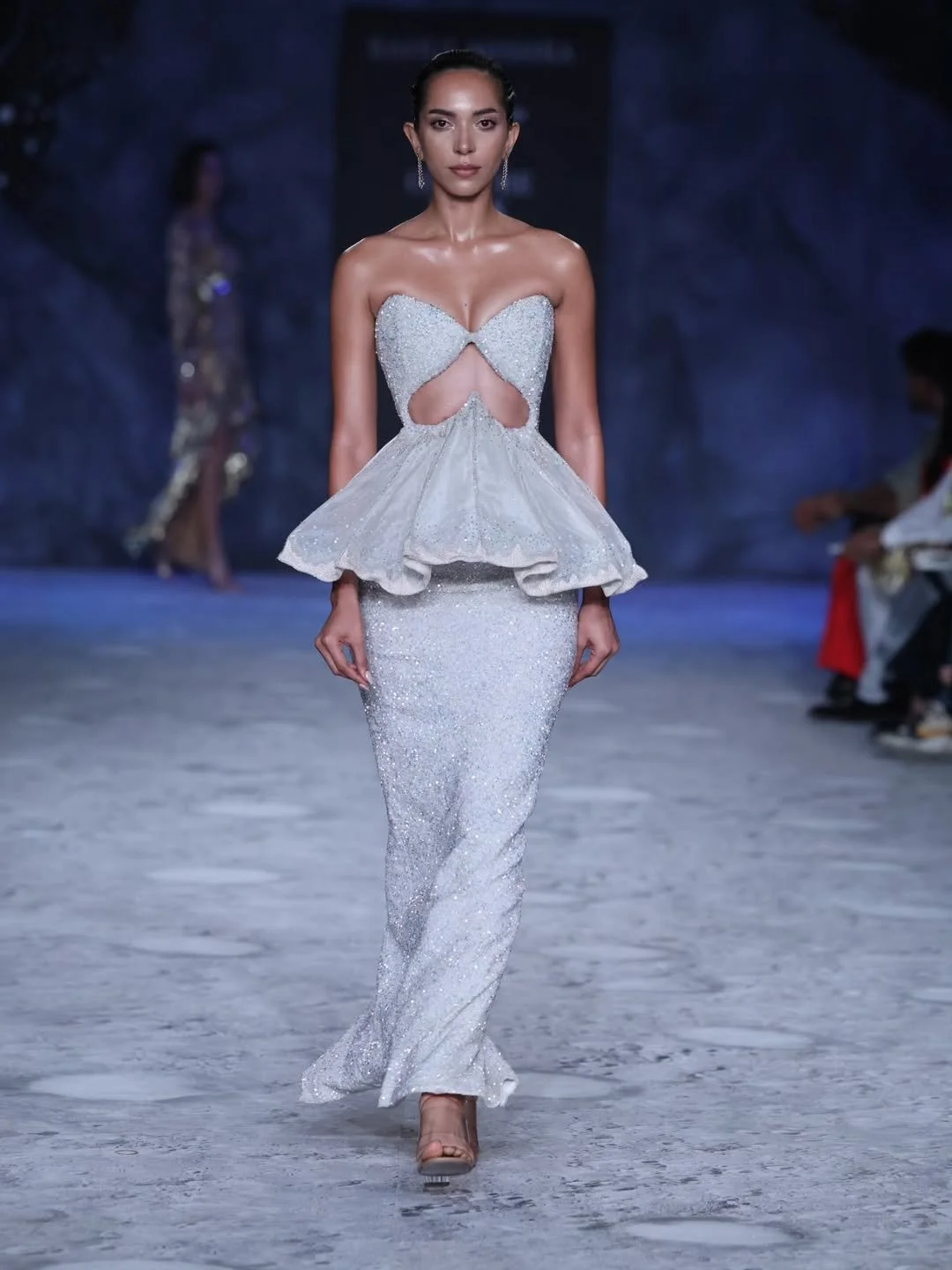 image courtesy of Rahul Mishra