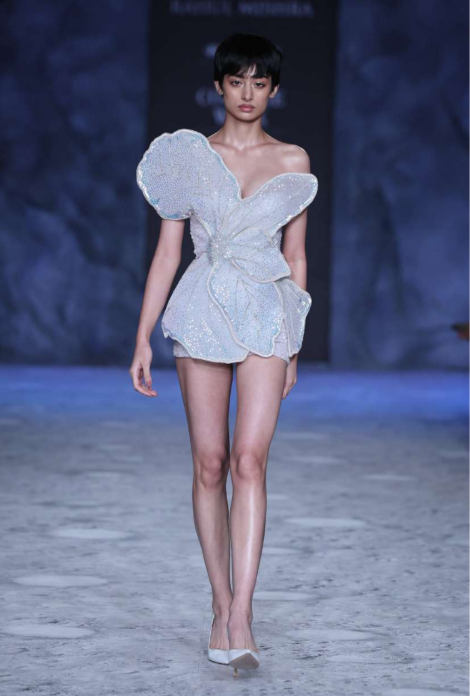 image courtesy of Rahul Mishra