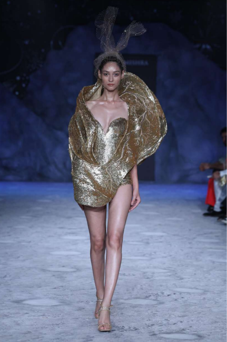 image courtesy of Rahul Mishra