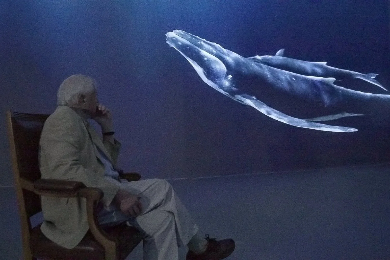 A 360-Degree David Attenborough Experience @ the Natural History Museum