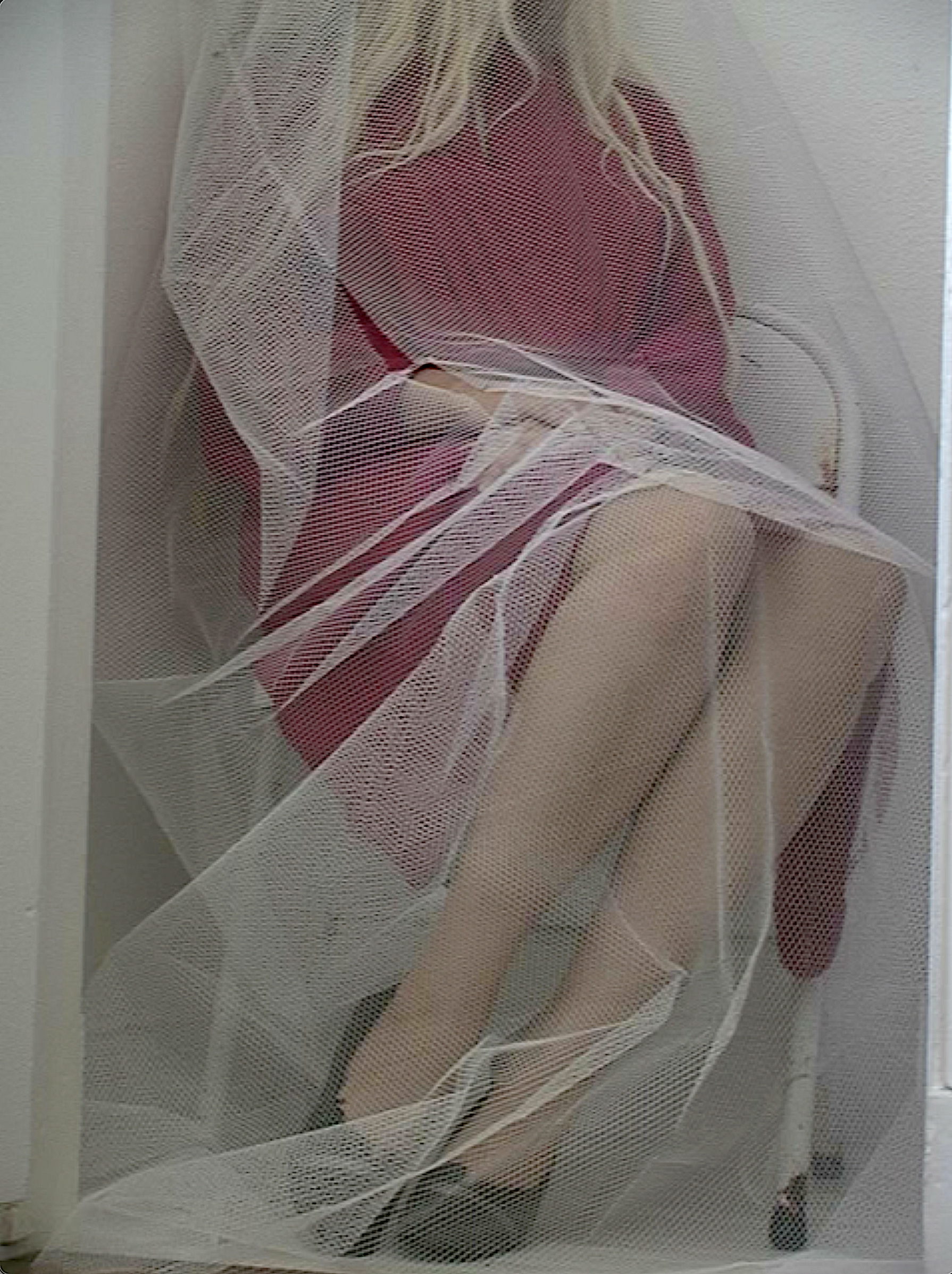 First account of vibrational plane elevation during bee sonification